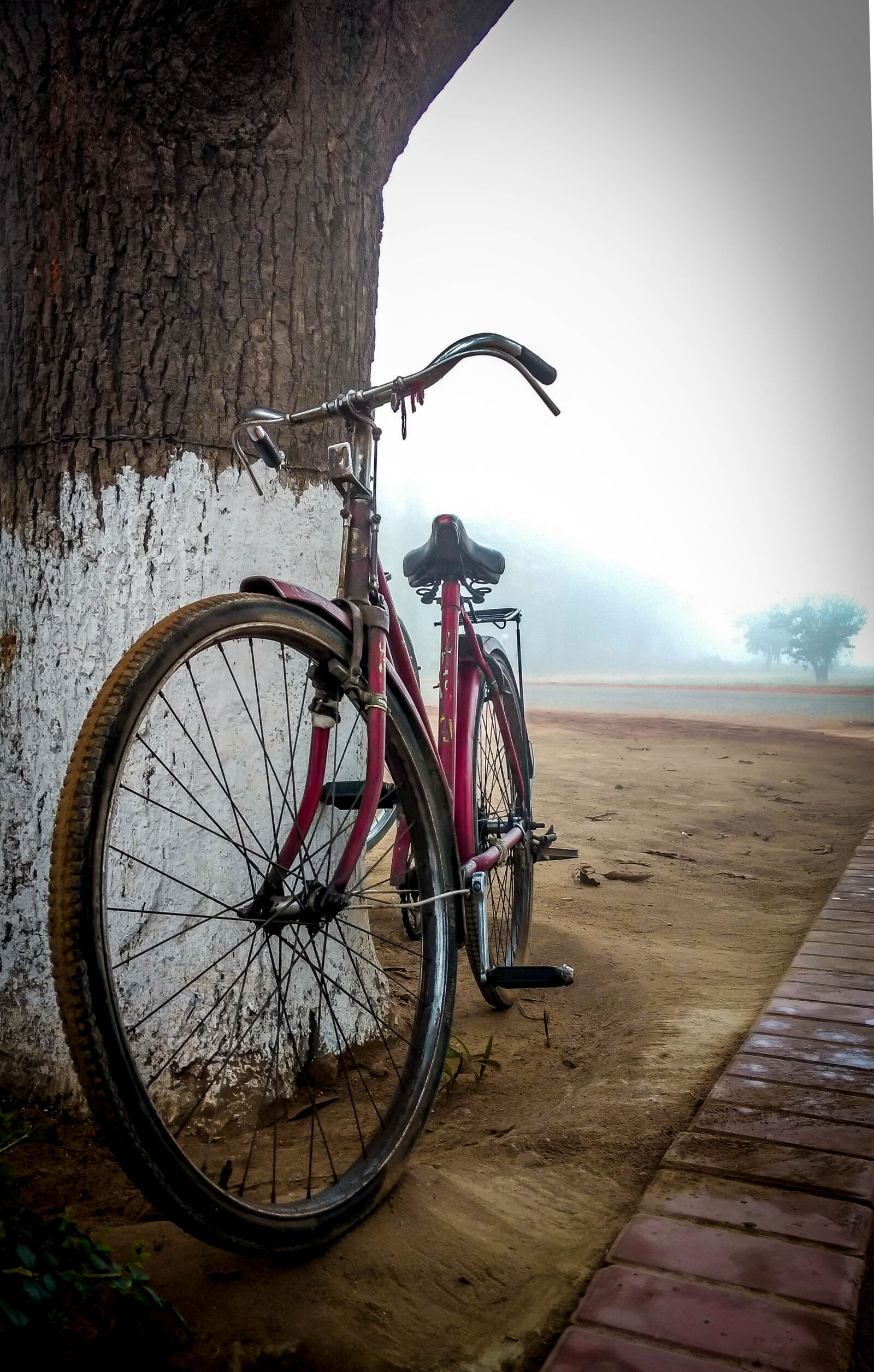 Motorola Moto G (4) sample photo. Beauty, bicycle, nature, trees photography