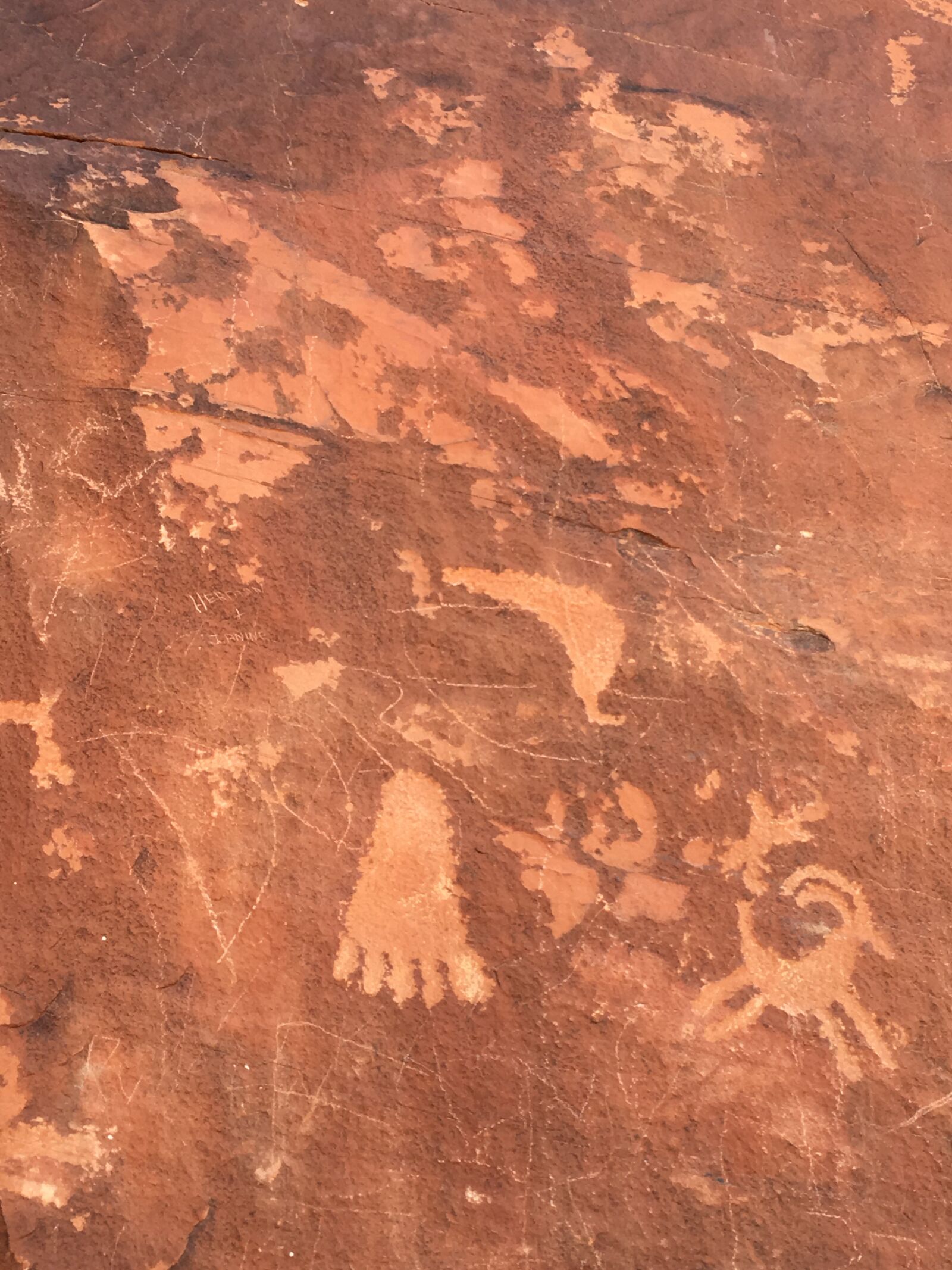iPhone SE back camera 4.15mm f/2.2 sample photo. Petroglyph, rock art, desert photography