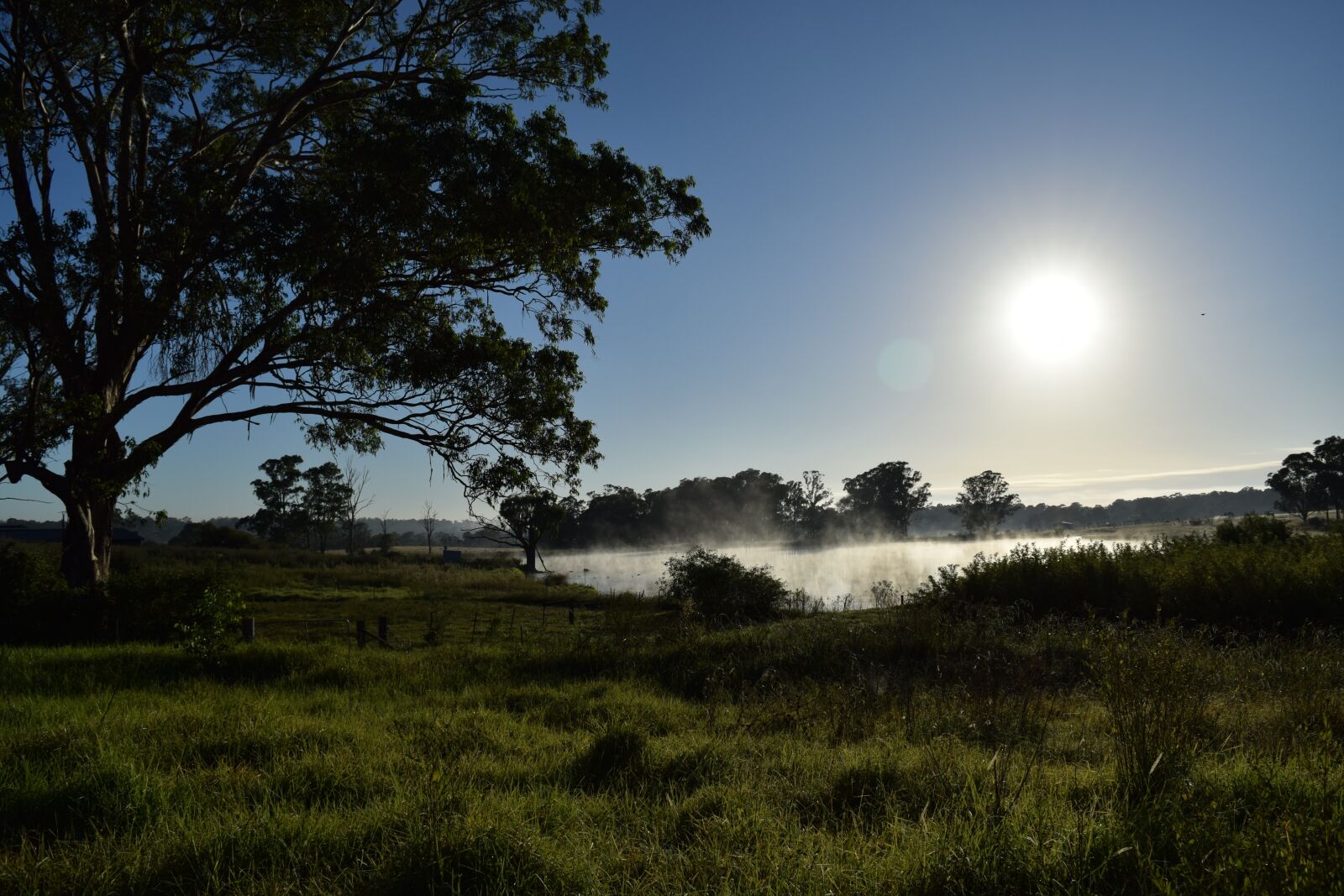 Nikon D3300 sample photo. Sunrise, country, sydney photography