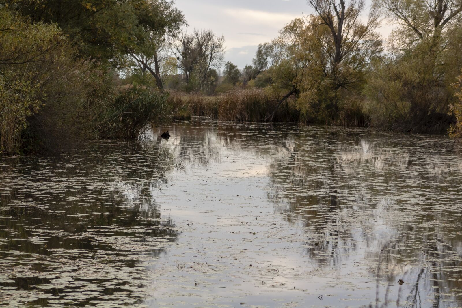 Canon EF75-300mm f/4-5.6 sample photo. Landscape, river, water photography