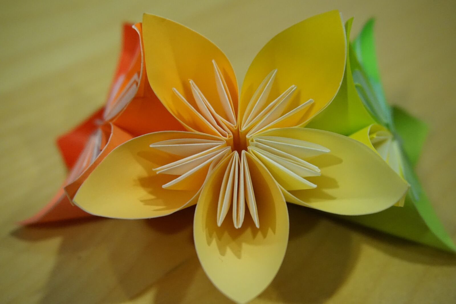 Sony Alpha a5000 (ILCE 5000) sample photo. Origami, flower, paper folding photography