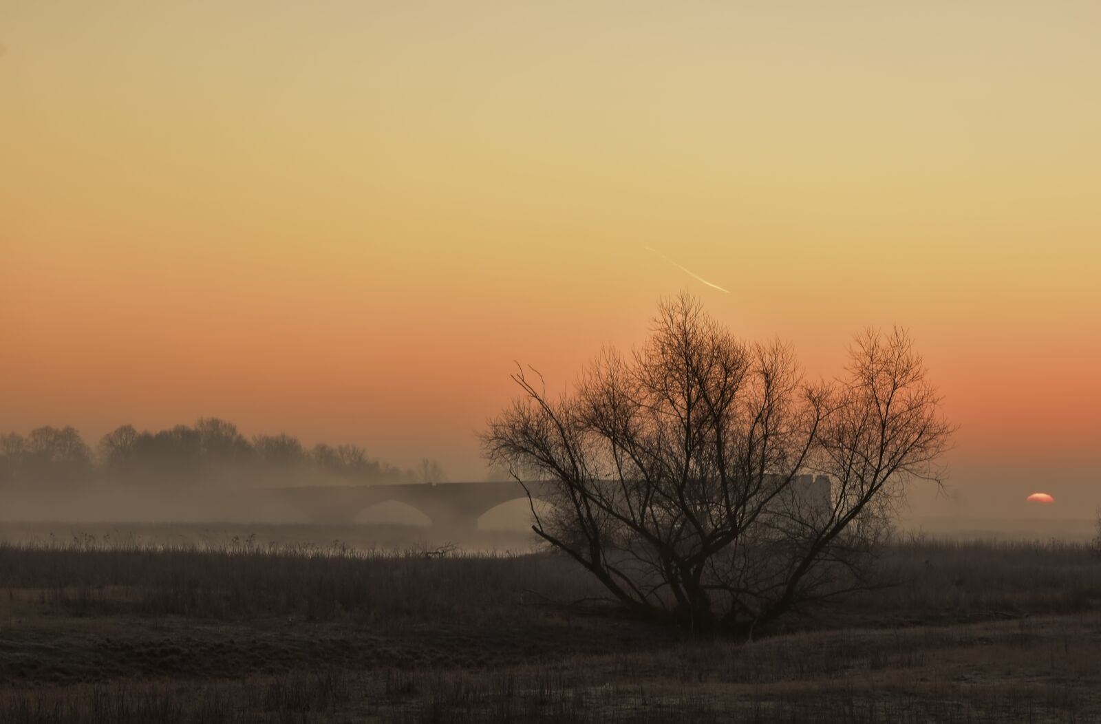 Nikon D5600 sample photo. Sunrise, blue hour, morgenstimmung photography