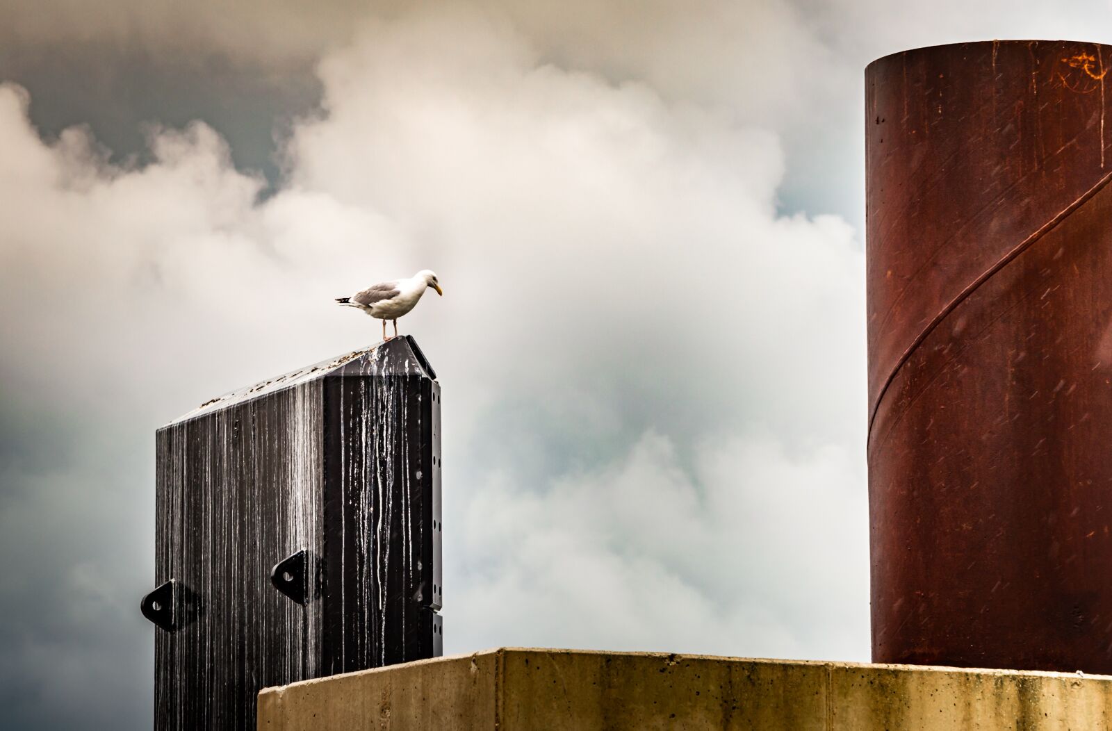 Nikon D3200 sample photo. Objects, clouds seagull, structure photography