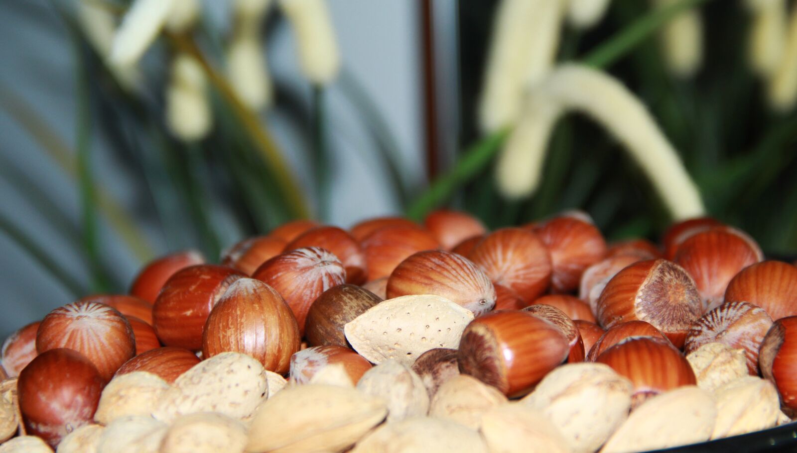 Canon EF-S 18-135mm F3.5-5.6 IS sample photo. Seeds, snack, baked photography