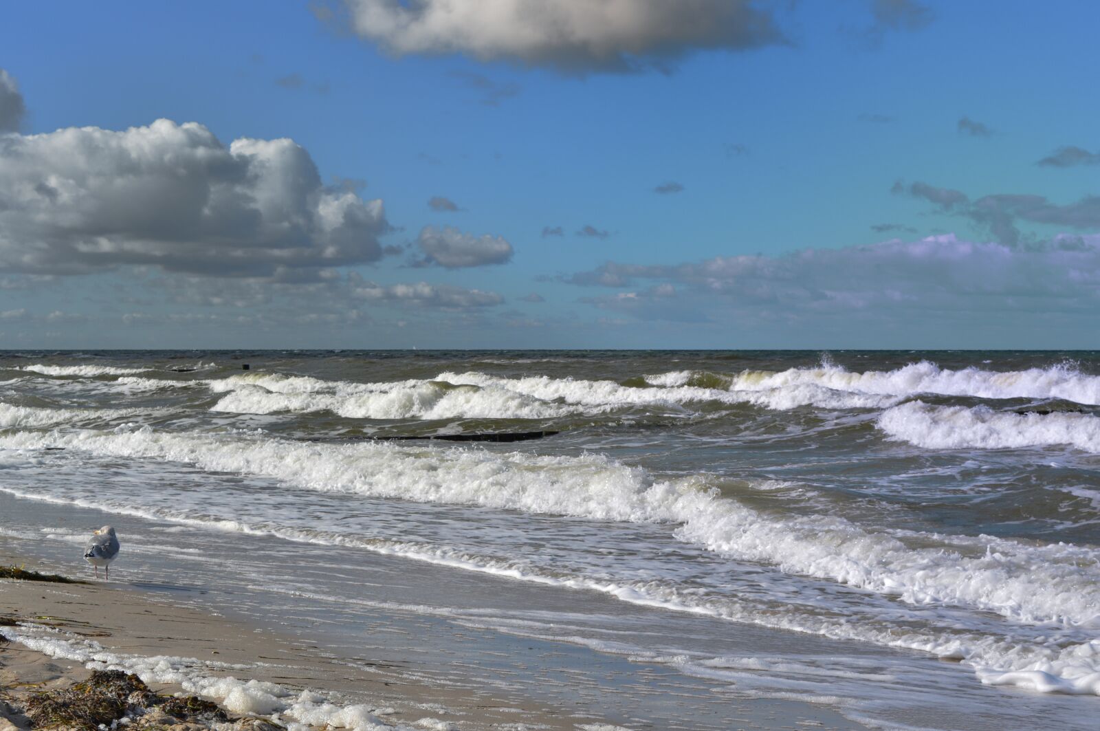 Nikon D5200 sample photo. Baltic sea, wave, beach photography