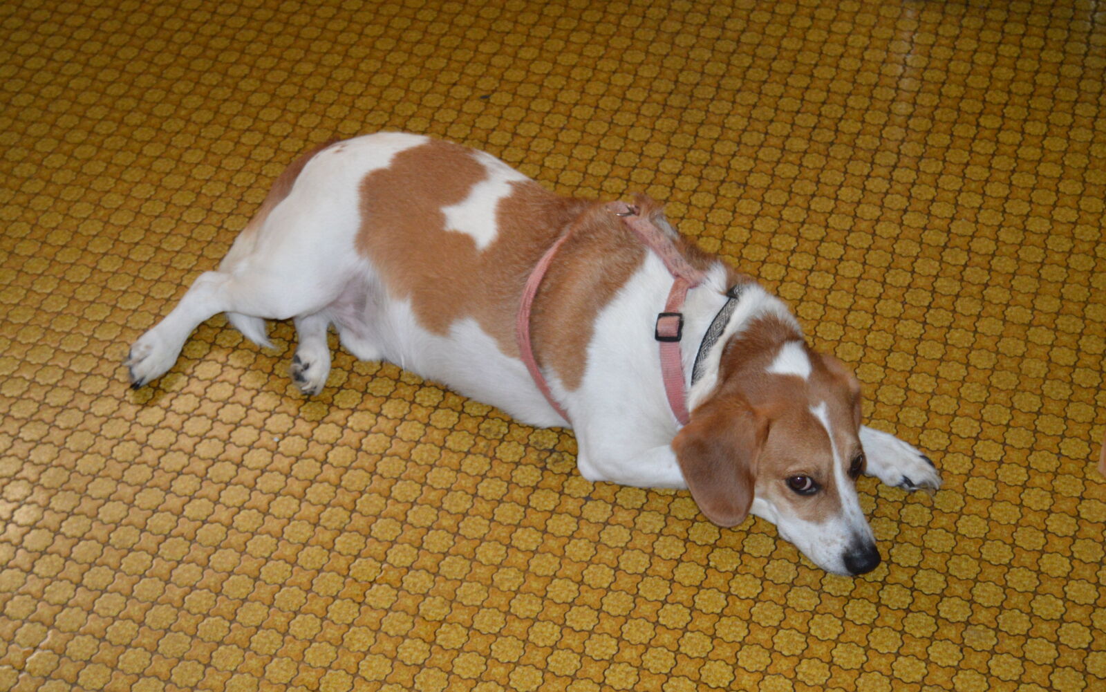 Nikon D3200 sample photo