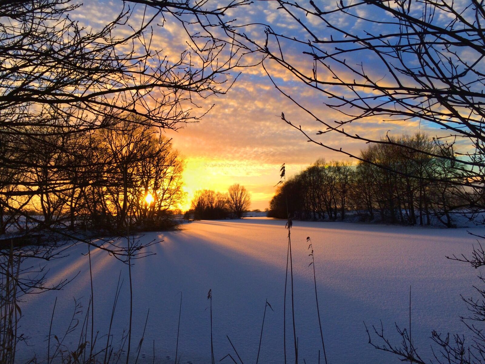 iPhone 5s back camera 4.15mm f/2.2 sample photo. Winter sun, snow, wintry photography