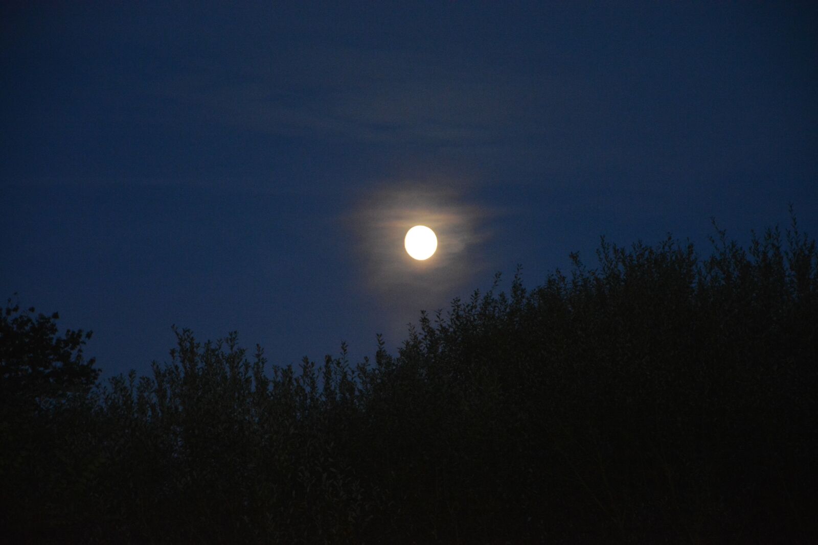 Nikon D5200 sample photo. Night landscape, moon, night photography