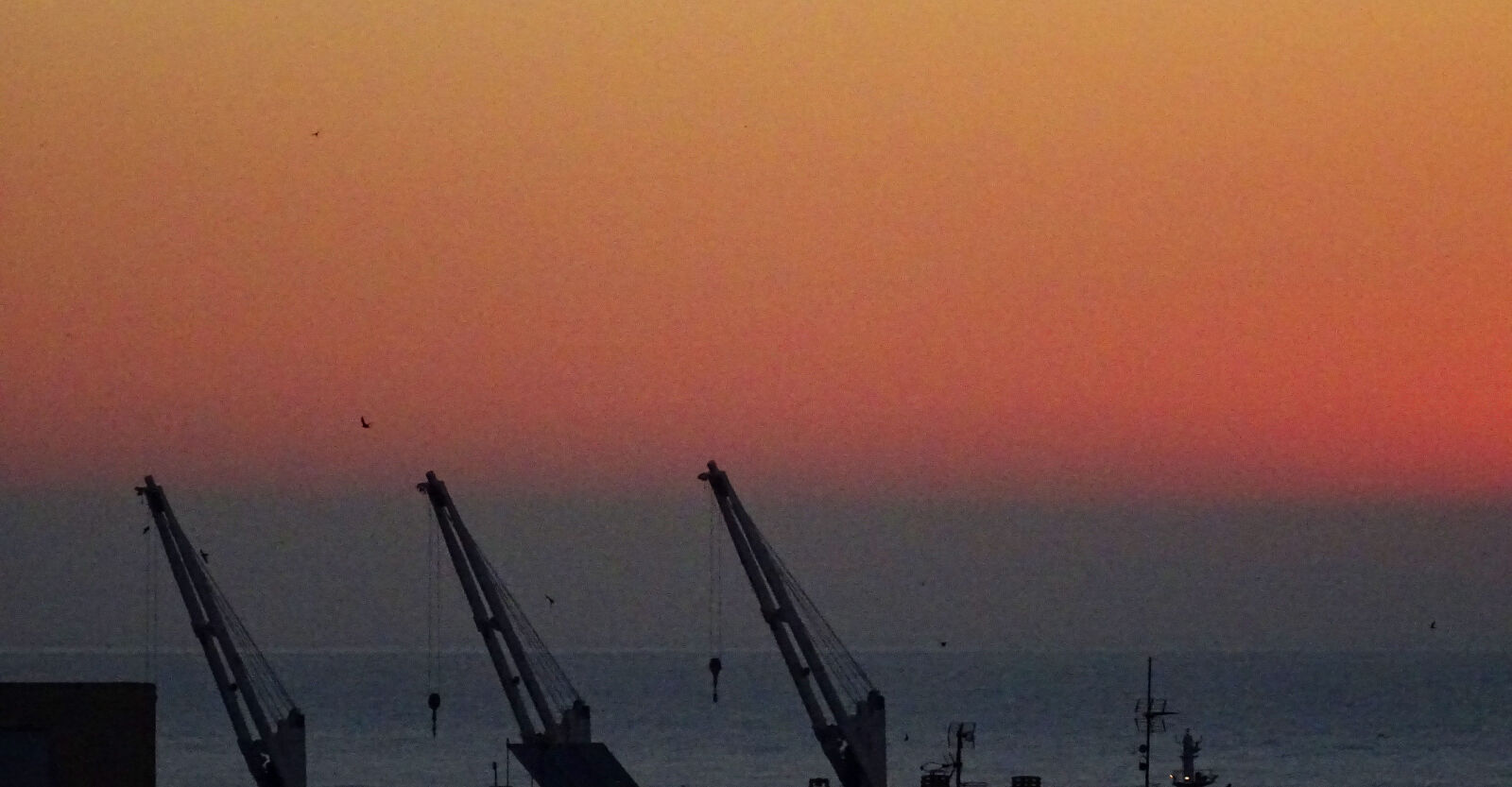 Sony DSC-HX60 sample photo. Cranes, sunrise photography