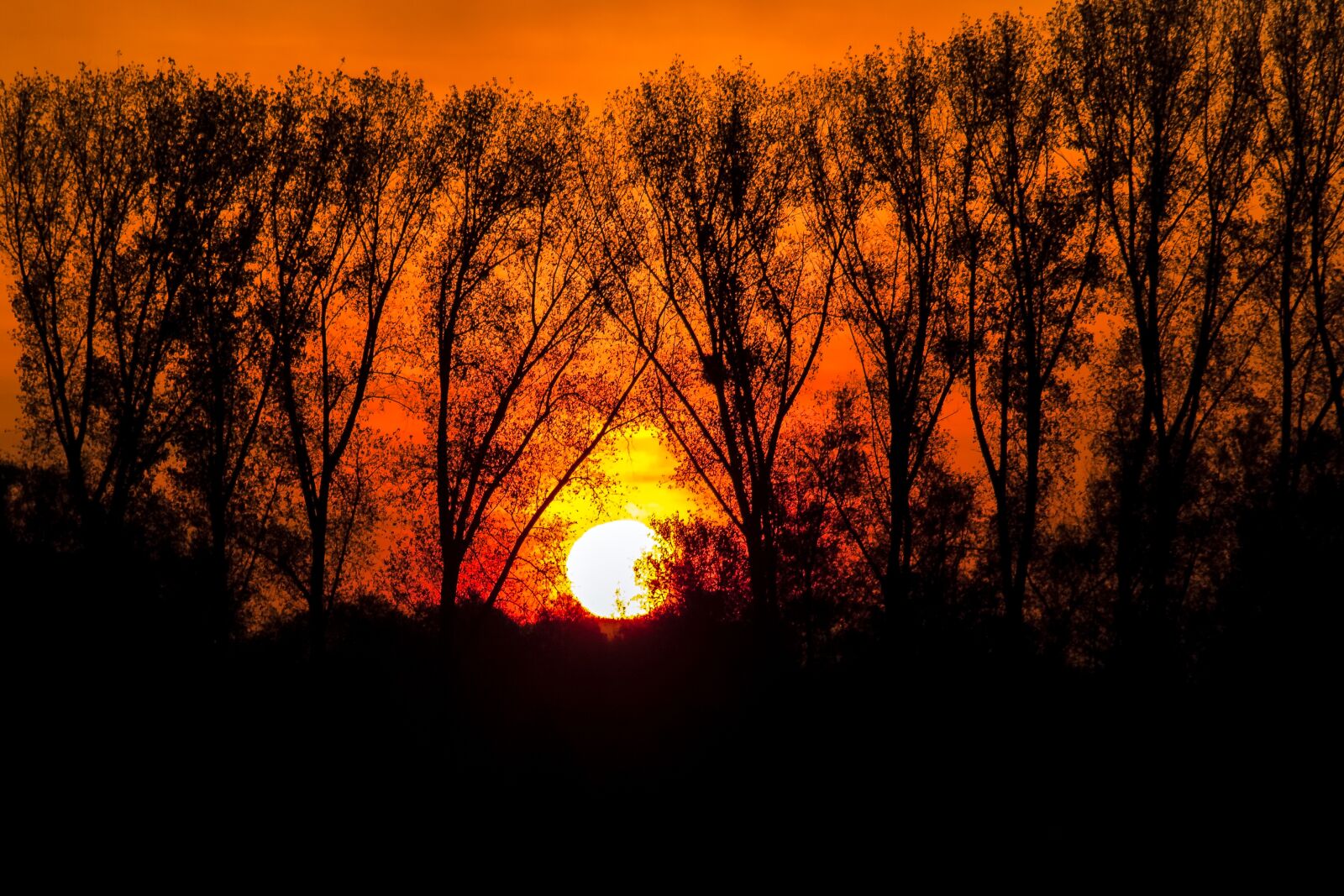 Olympus Zuiko Digital ED 40-150mm F4.0-5.6 sample photo. Sunrise, landscape, morning light photography
