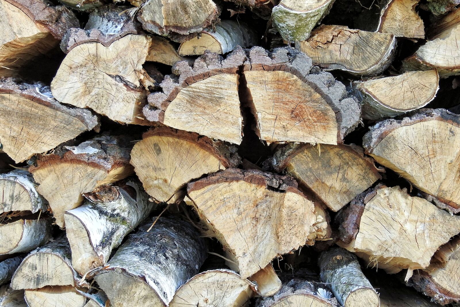 Nikon Coolpix P900 sample photo. Holzstapel, texture, wood photography