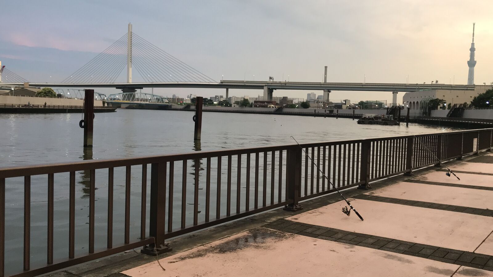 iPhone 7 back camera 3.99mm f/1.8 sample photo. Riverside, sky, river photography