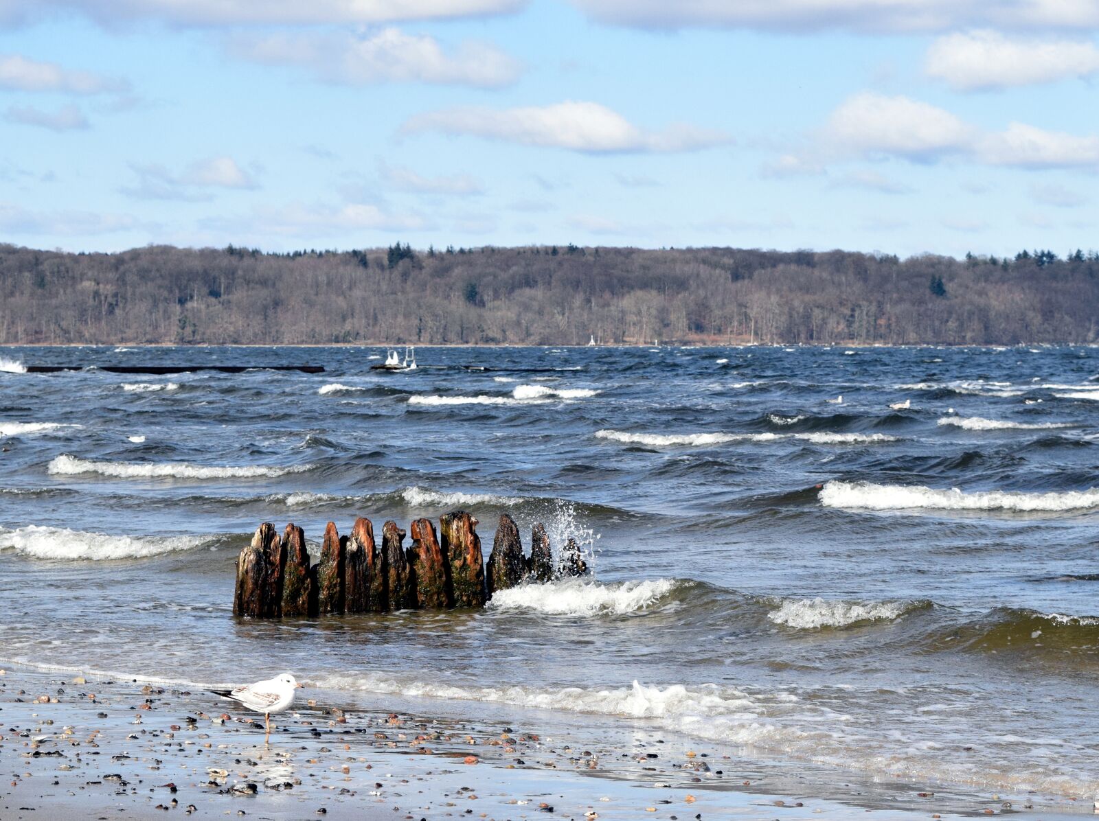 Nikon D5300 sample photo. Waters, sea, ocean photography