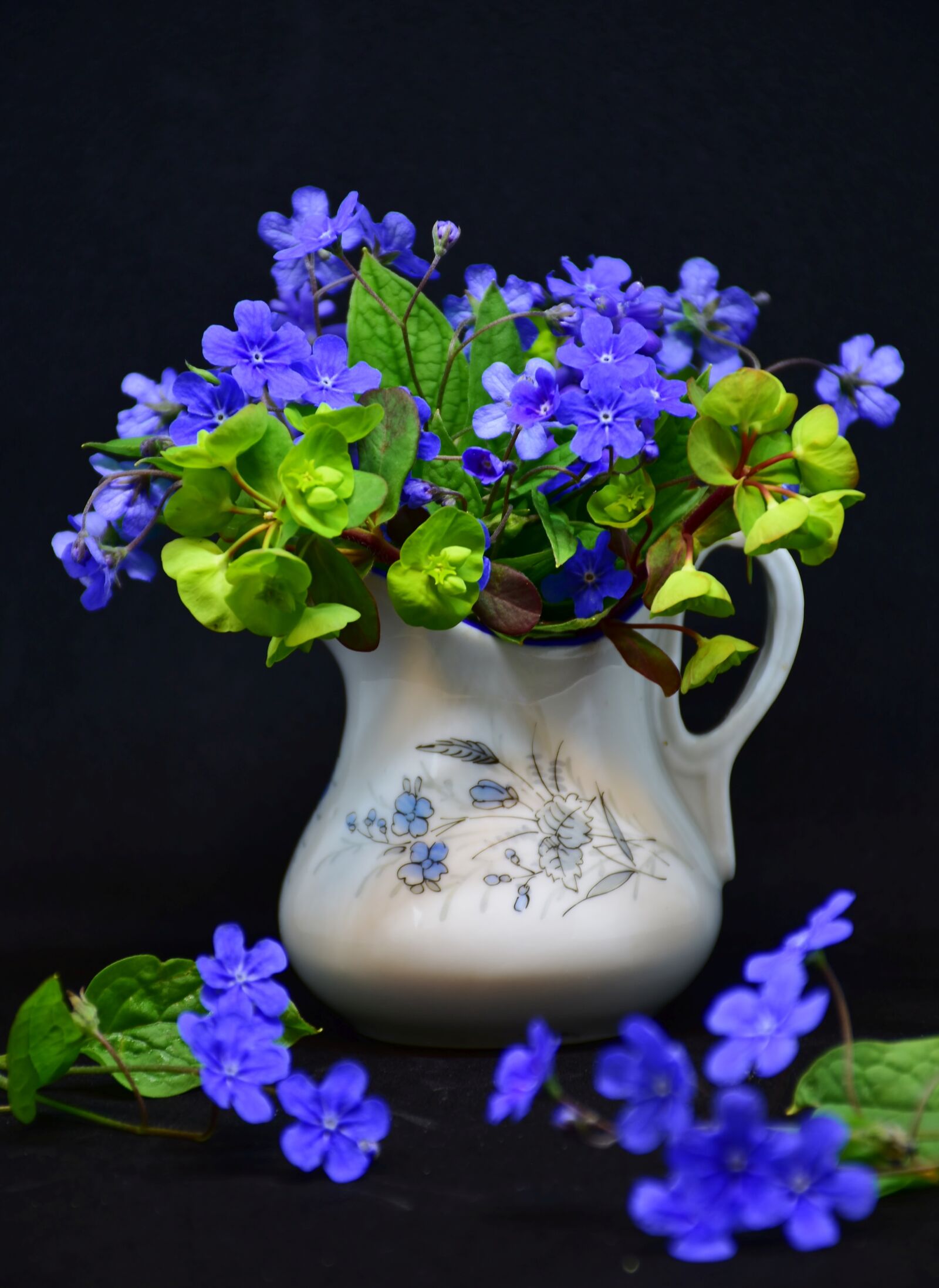 Nikon D7200 sample photo. Flower, plant, nature photography