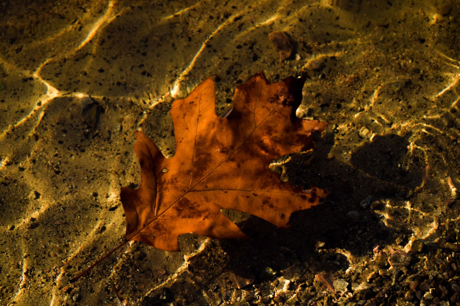Nikon D5300 sample photo. Water, river, rock photography