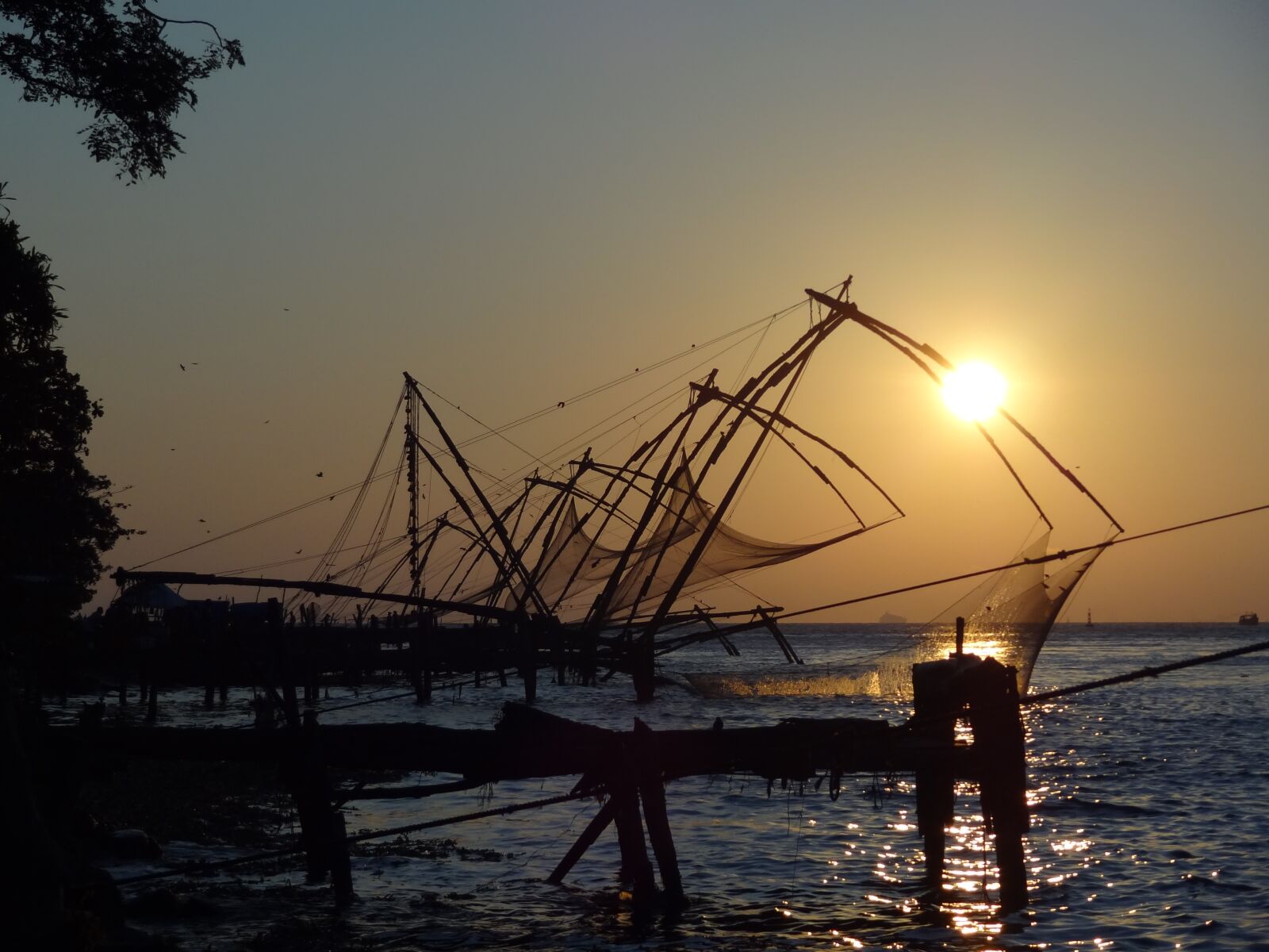 Sony Cyber-shot DSC-HX9V sample photo. India, sea, fish photography