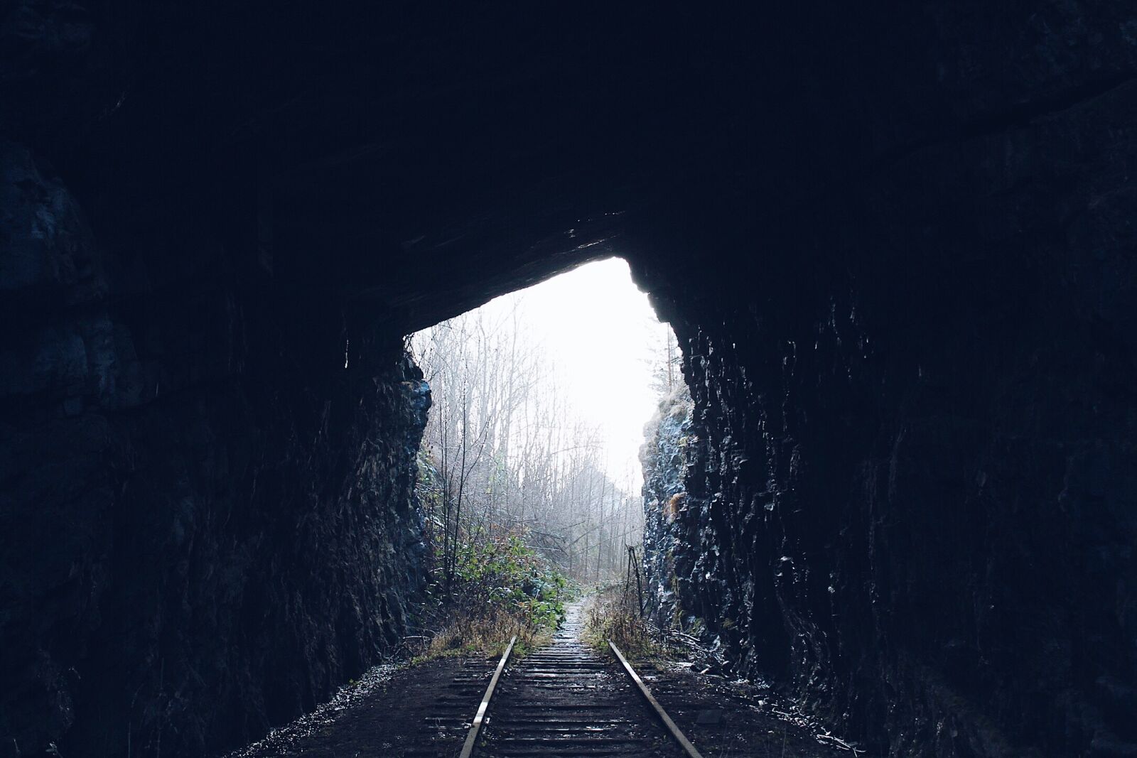 Canon EOS 100D (EOS Rebel SL1 / EOS Kiss X7) sample photo. Tunnel, dark, woods photography