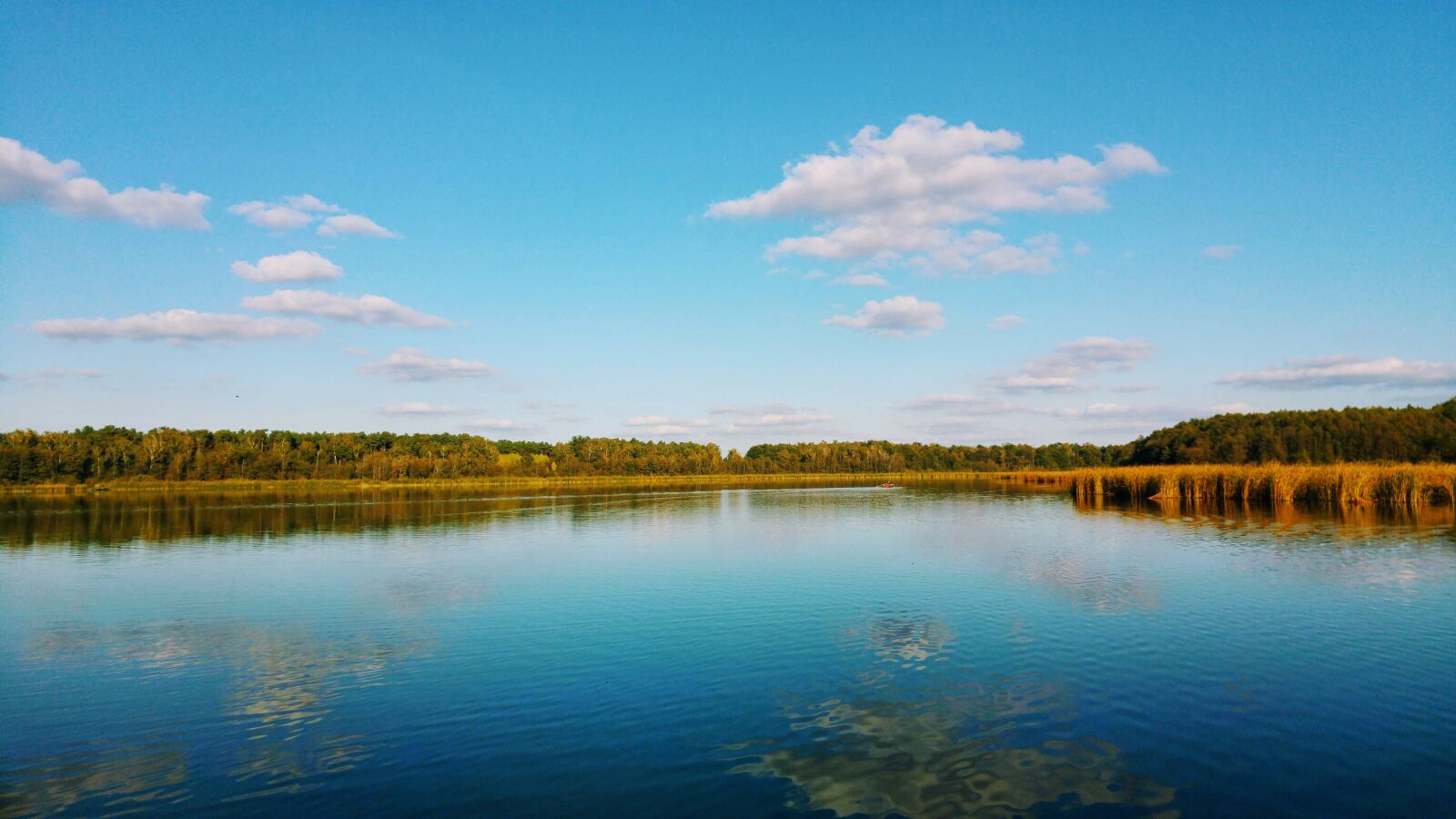 LG G4 sample photo. Germany, brandenburg, lake photography