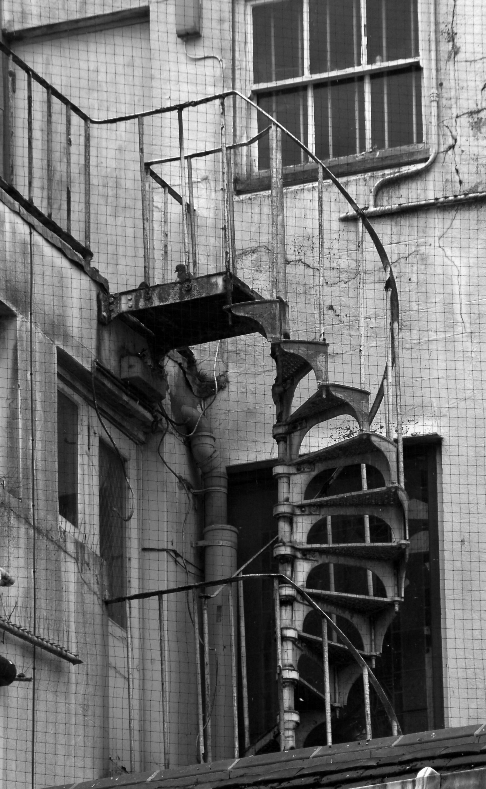 Nikon D200 sample photo. Black and white, stairs photography