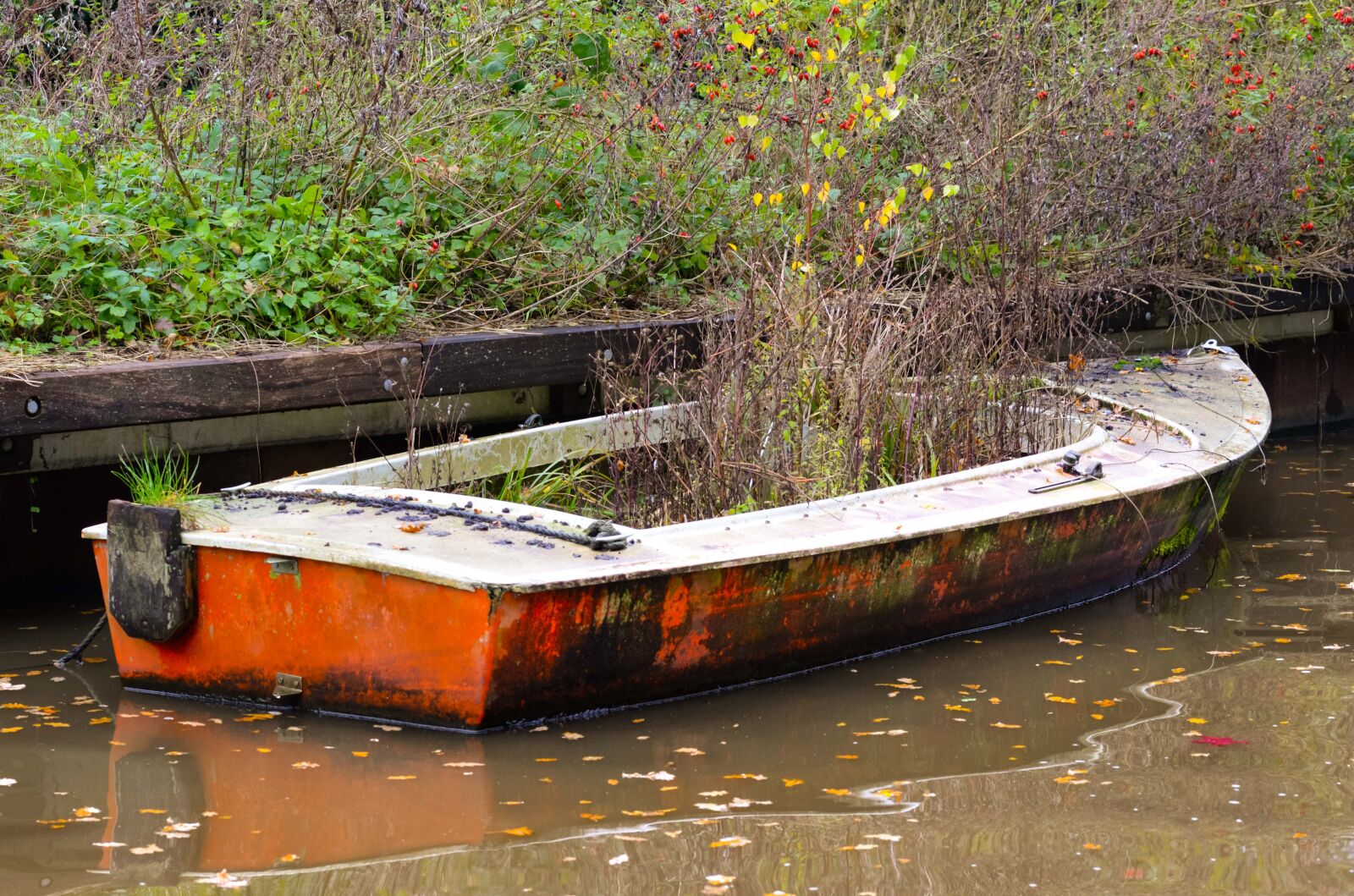 Nikon D610 sample photo. Overgrown, abandoned, boat photography