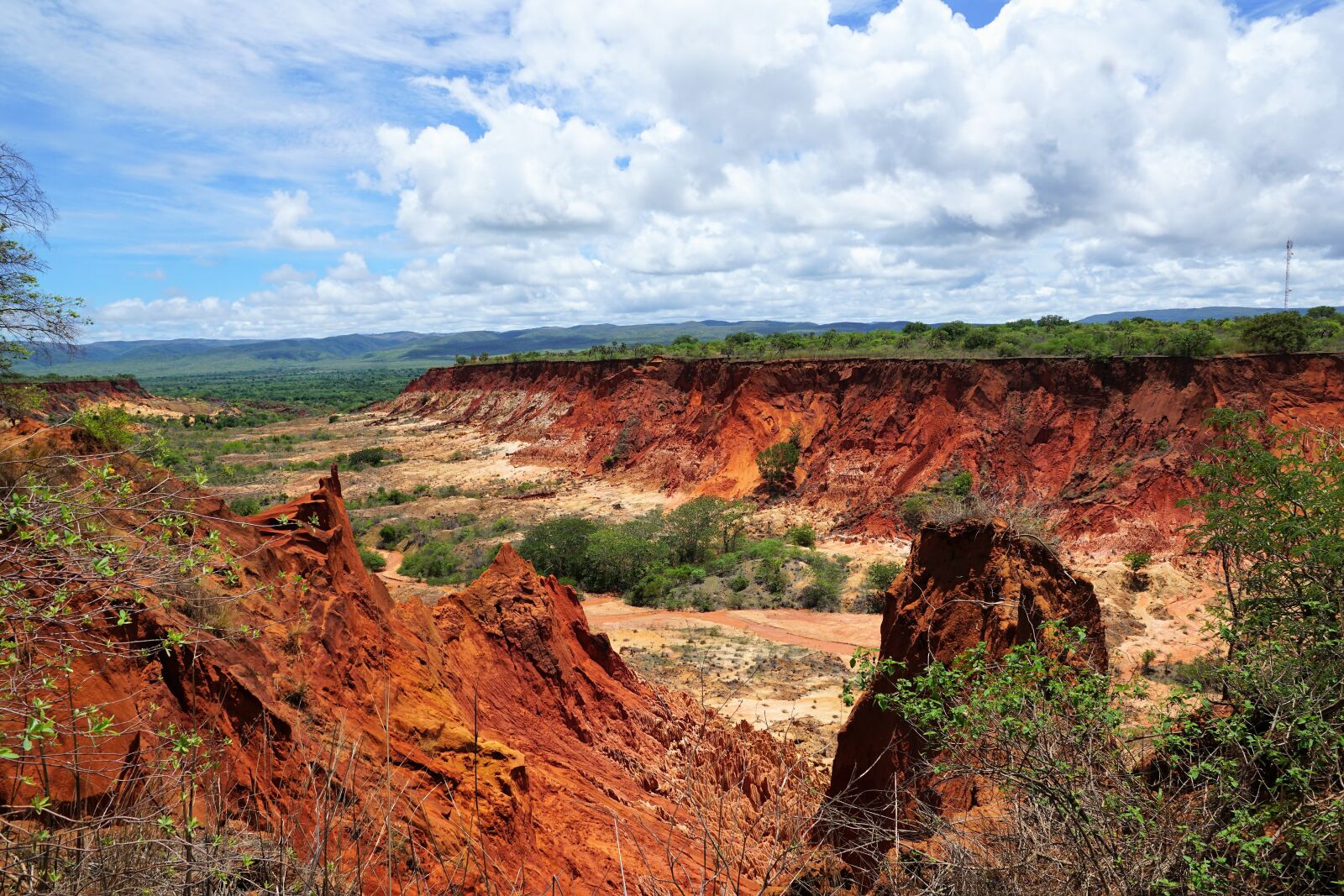 Sony ILCA-77M2 + Sony DT 16-50mm F2.8 SSM sample photo. Park, madagascar, tsingy rouge photography