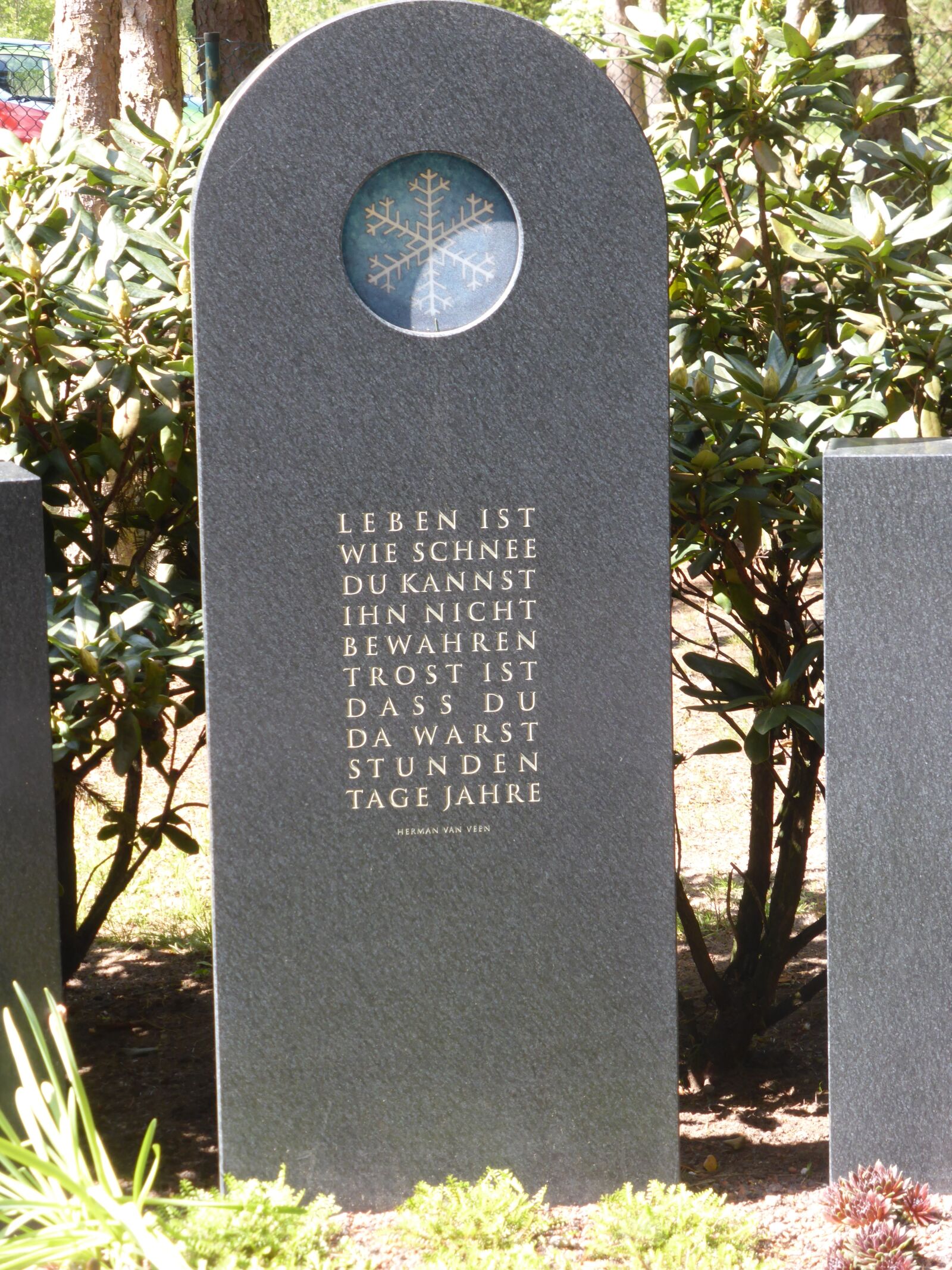 Panasonic DMC-TZ41 sample photo. Tombstone, cemetery, saying photography