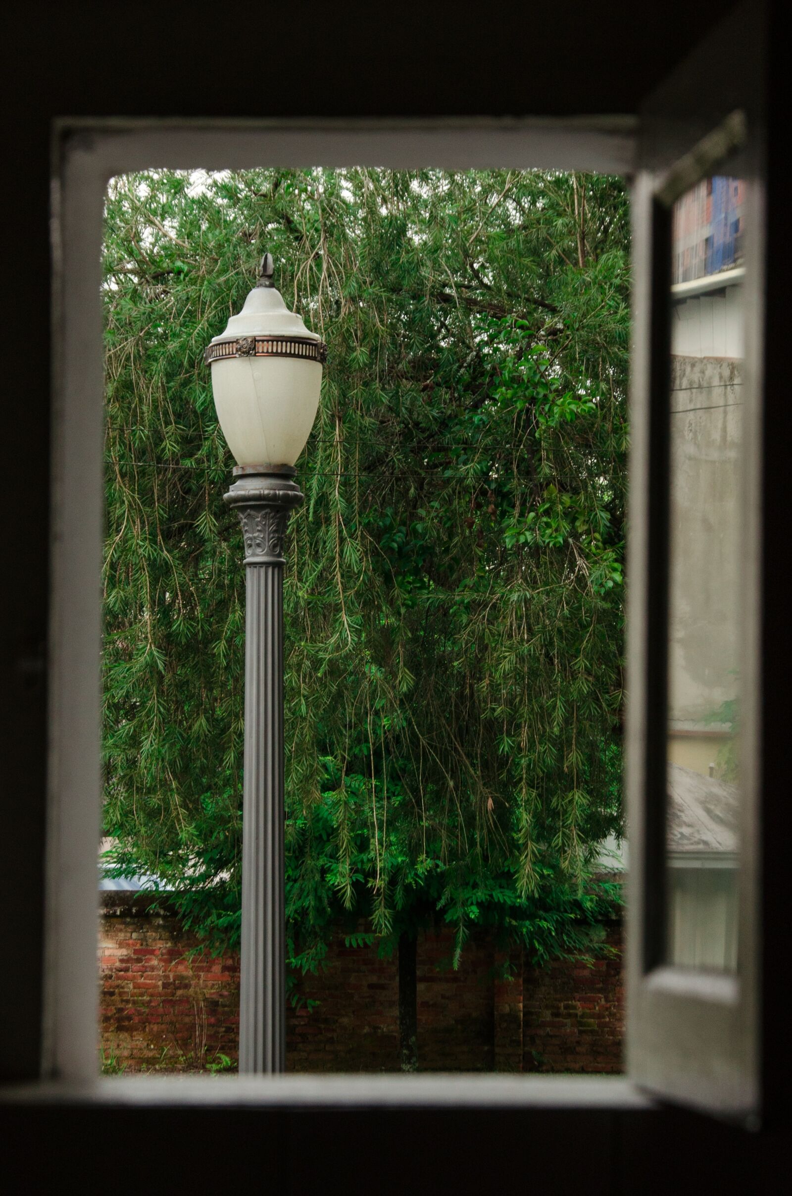 Nikon D7000 sample photo. Window, luminaire, tree photography