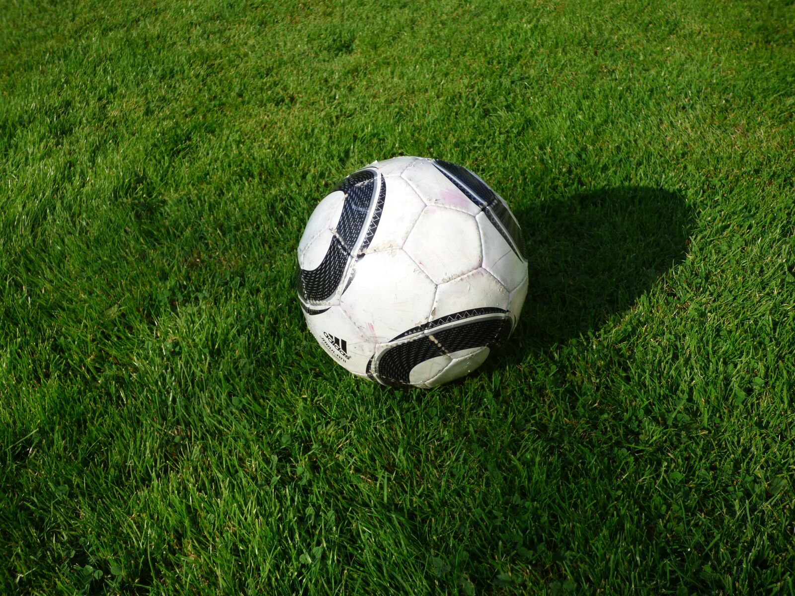 Panasonic DMC-FZ72 sample photo. Football, grass, white photography