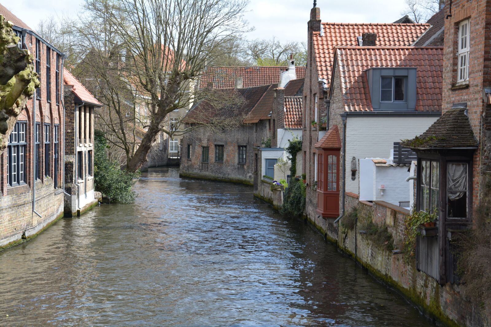 Nikon D5200 sample photo. Belgium, bruges, historical photography