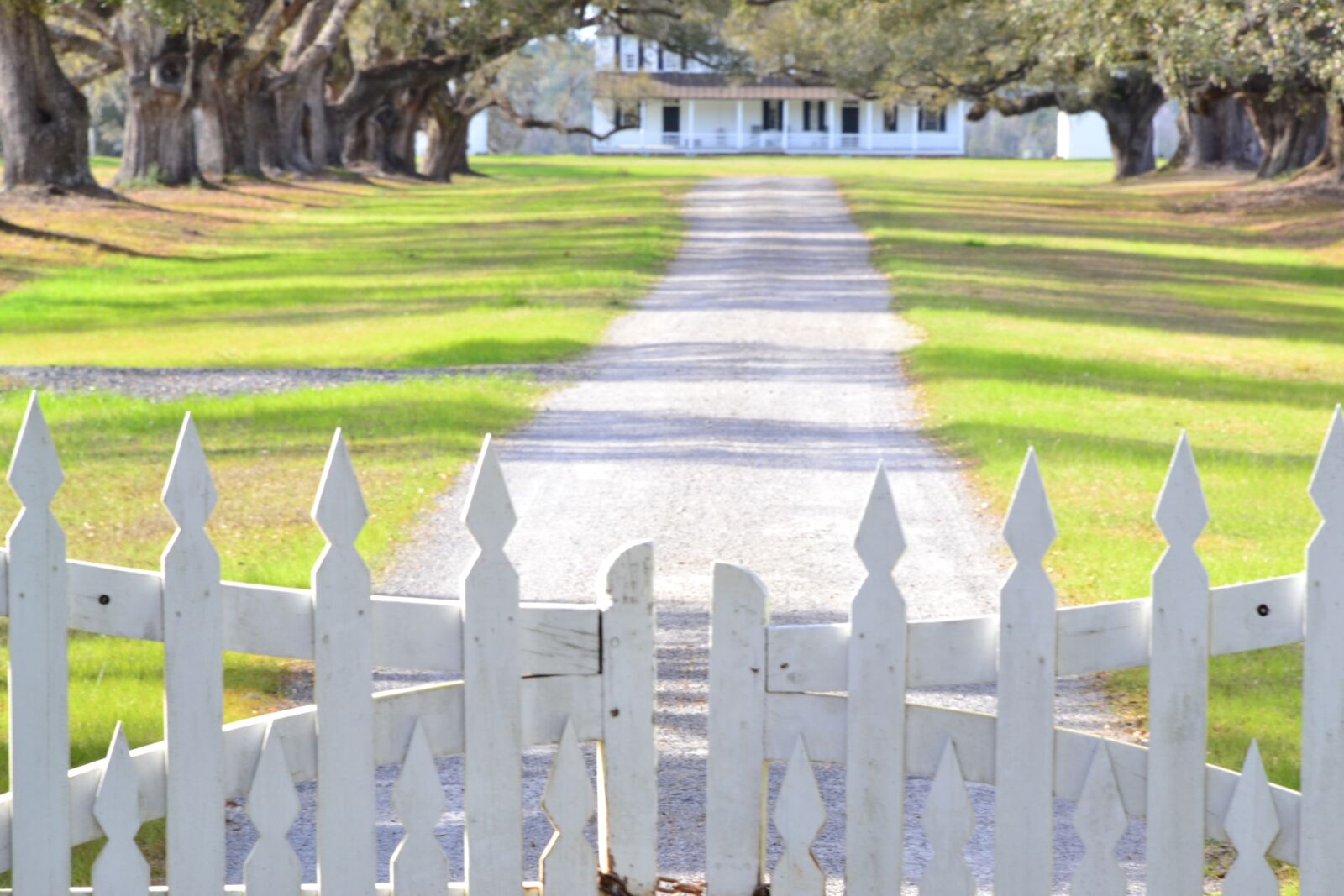 Nikon D3100 sample photo. Plantation, colonial, historic photography