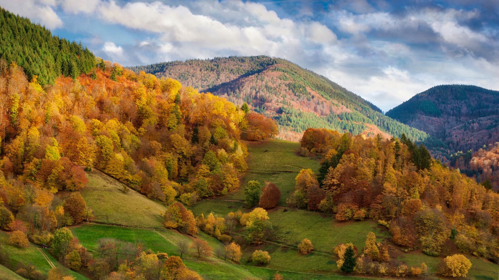 Nikon D5300 sample photo. Autumn landscape, autumn, nature photography