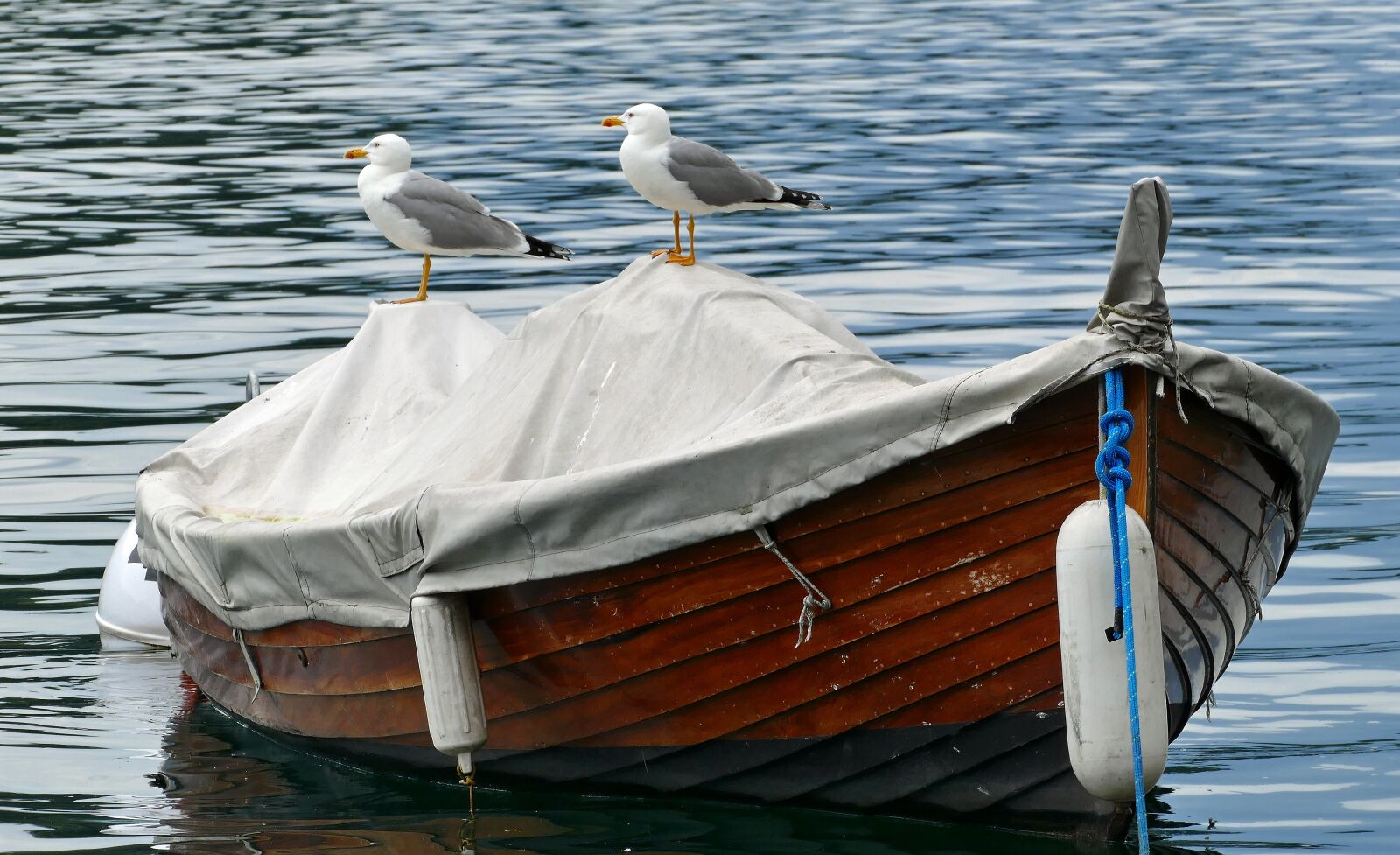Panasonic Lumix DMC-FZ1000 sample photo. Lake, boat, water photography