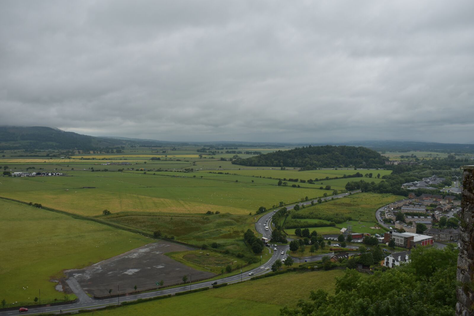 Nikon D5600 sample photo. Landscape, nature, grass photography