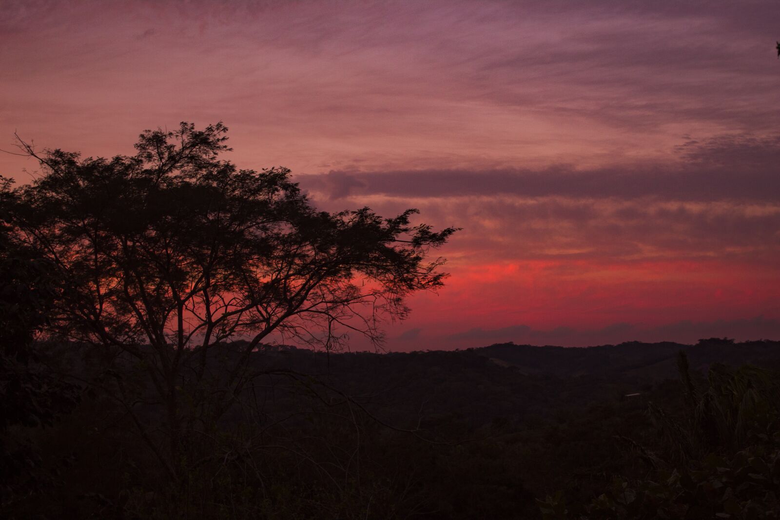 Canon EOS 1300D (EOS Rebel T6 / EOS Kiss X80) sample photo. Sunset, vegetation, colors photography