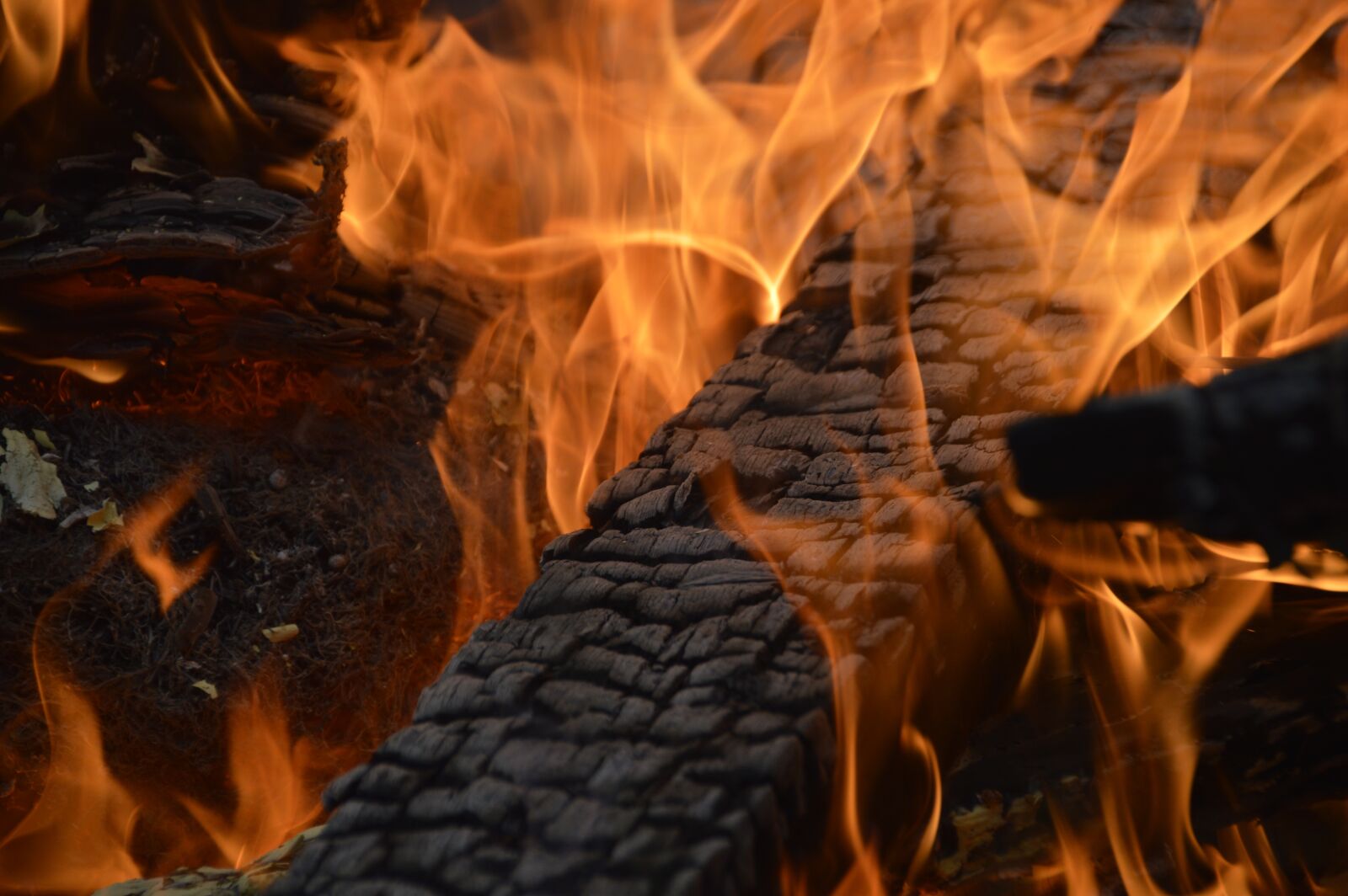 Nikon D3200 sample photo. Fire, burn, campfire photography