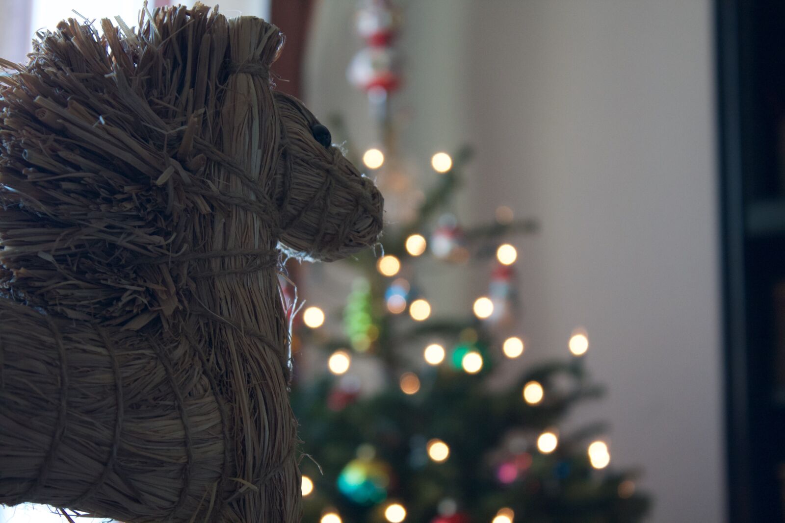 Canon EOS 450D (EOS Rebel XSi / EOS Kiss X2) sample photo. Christmas, horse, cute photography