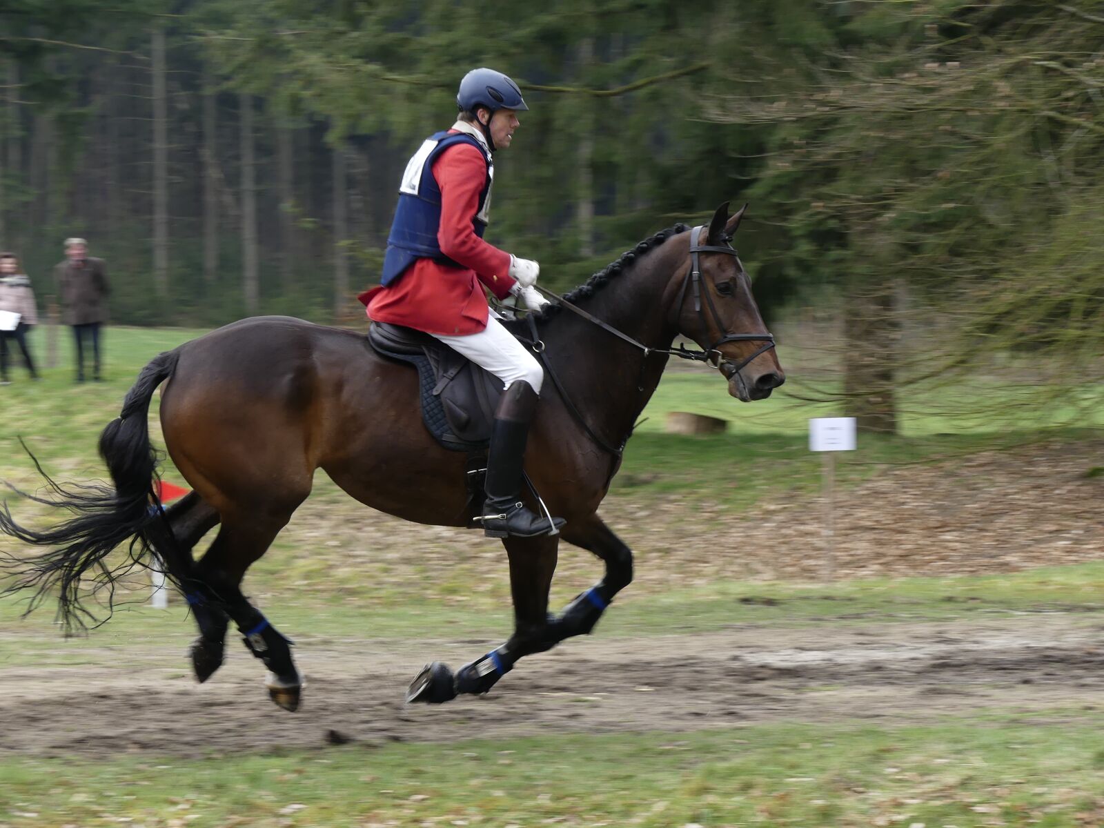 Panasonic Lumix DMC-FZ300 sample photo. Horse, rider, fox photography