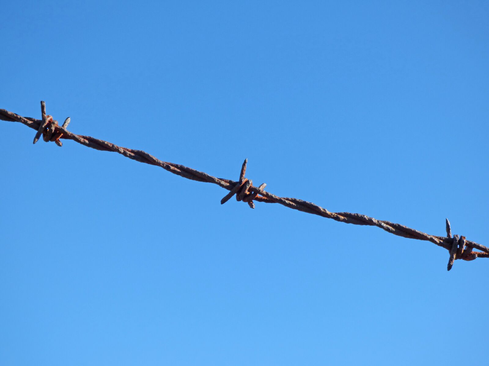 Panasonic Lumix DMC-FZ70 sample photo. Barbed wire, fence, not photography