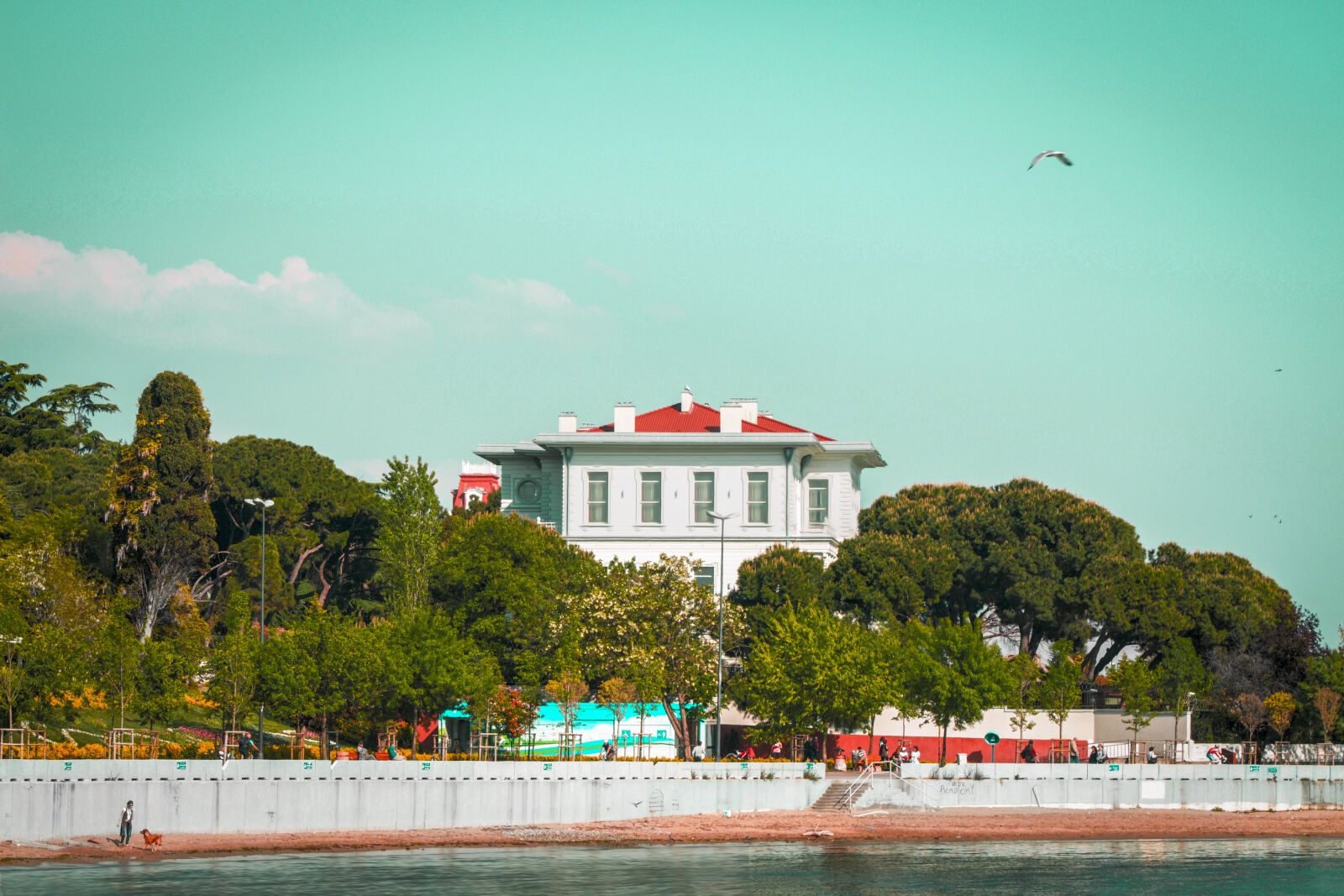 Canon EOS 700D (EOS Rebel T5i / EOS Kiss X7i) + Canon EF 75-300mm f/4-5.6 sample photo. Sea, sky, beach, water photography