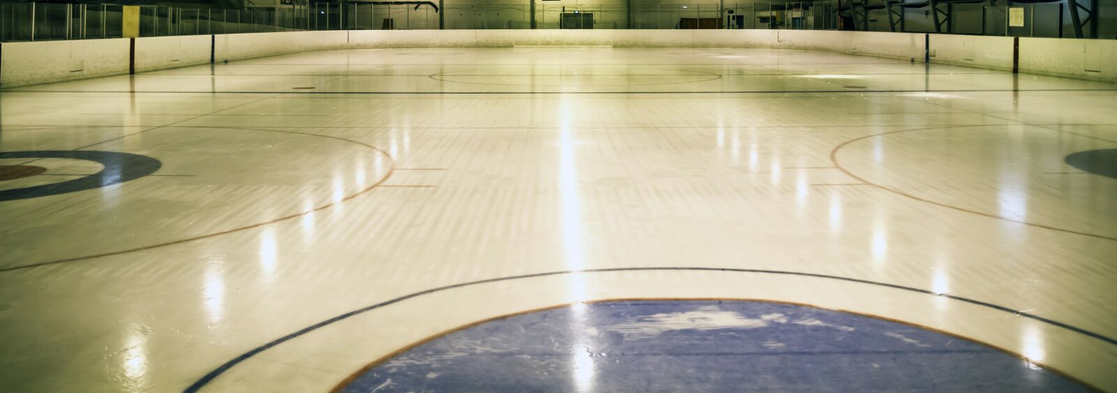 Canon EOS 7D sample photo. Trough, hockey, ring photography