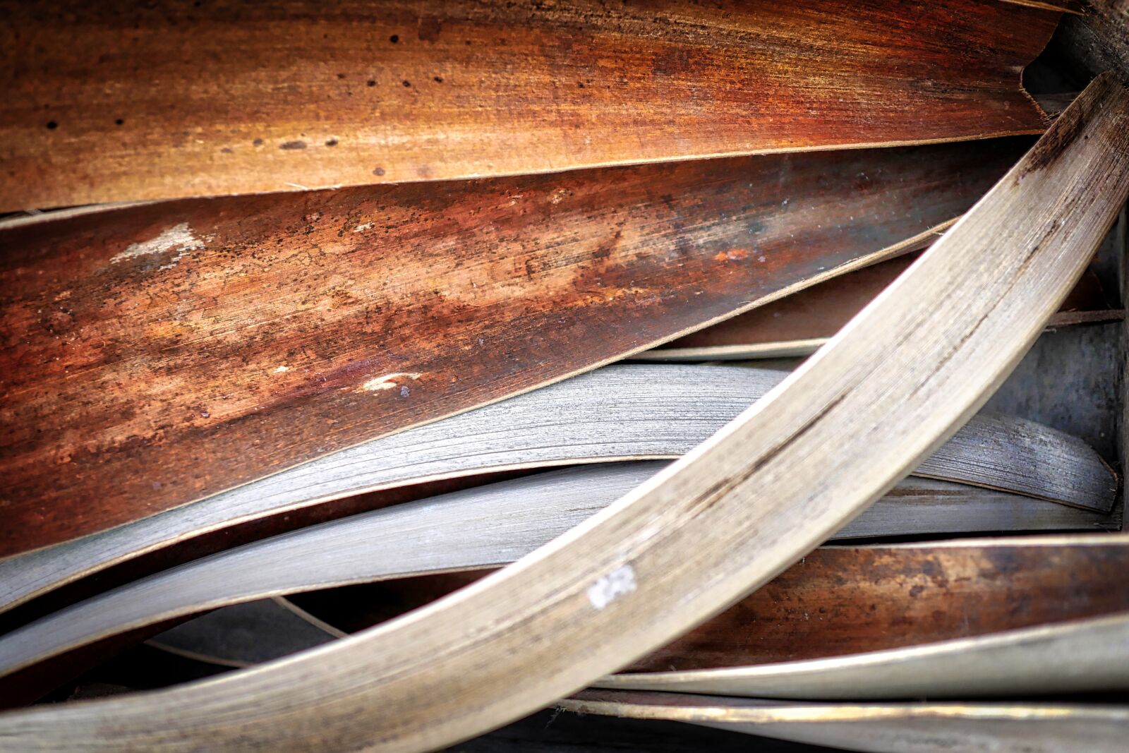 Panasonic Lumix DMC-GX8 sample photo. Wood, background, food photography