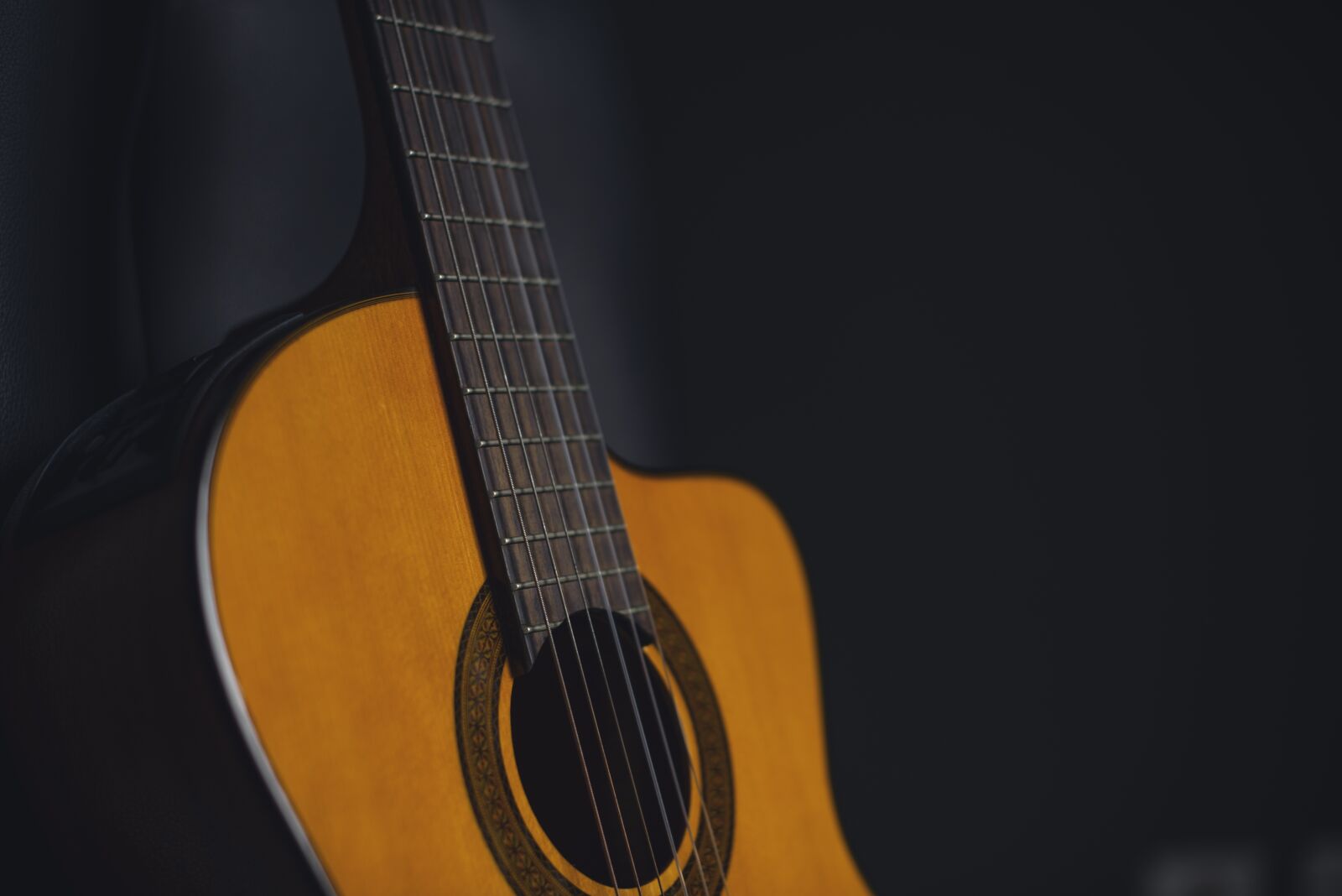 Nikon D750 sample photo. Guitar, guitar acoustic, background photography