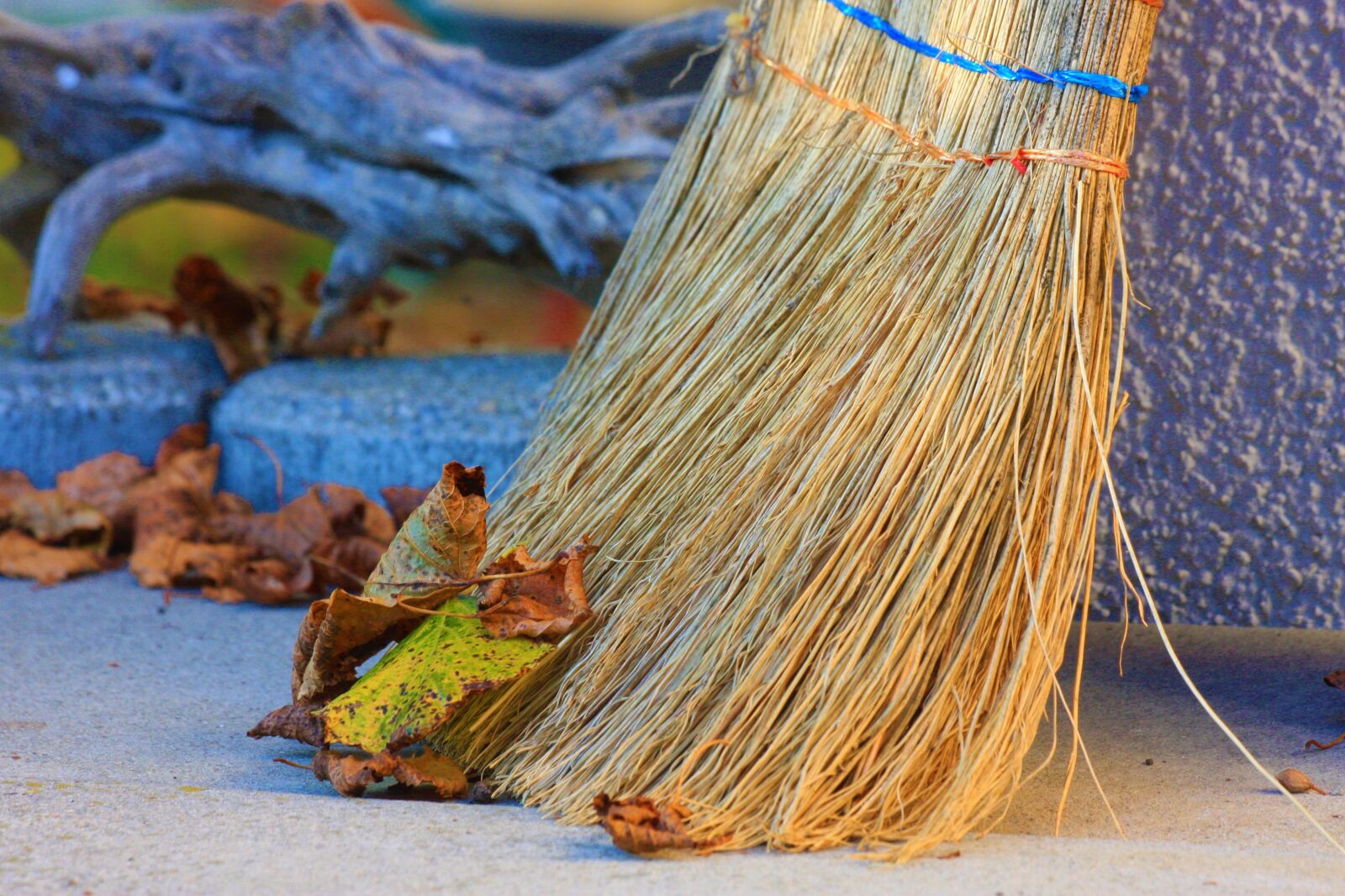Canon EOS 40D sample photo. Broom, sweep, dried leaves photography