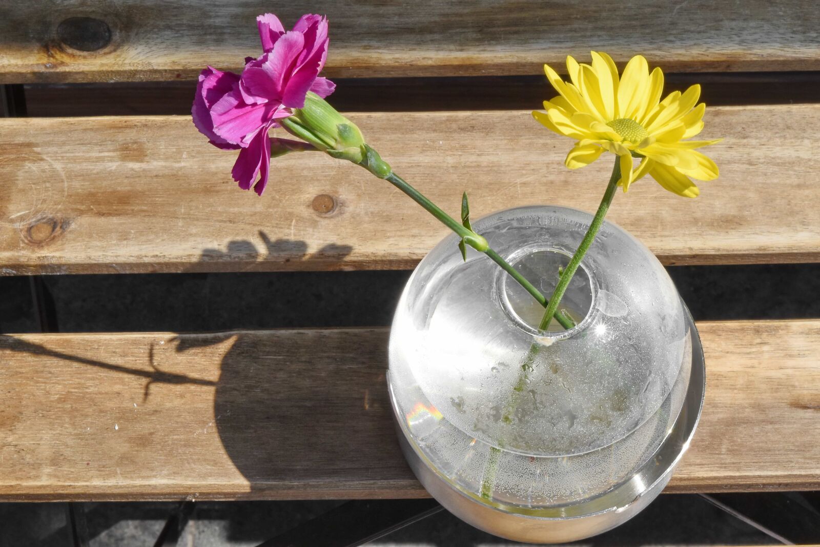 Nikon D5500 sample photo. Carnation, glass, pink, still photography