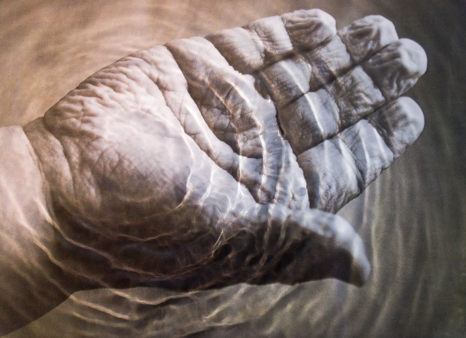 Nikon D7200 sample photo. Wrinkles, hand photography