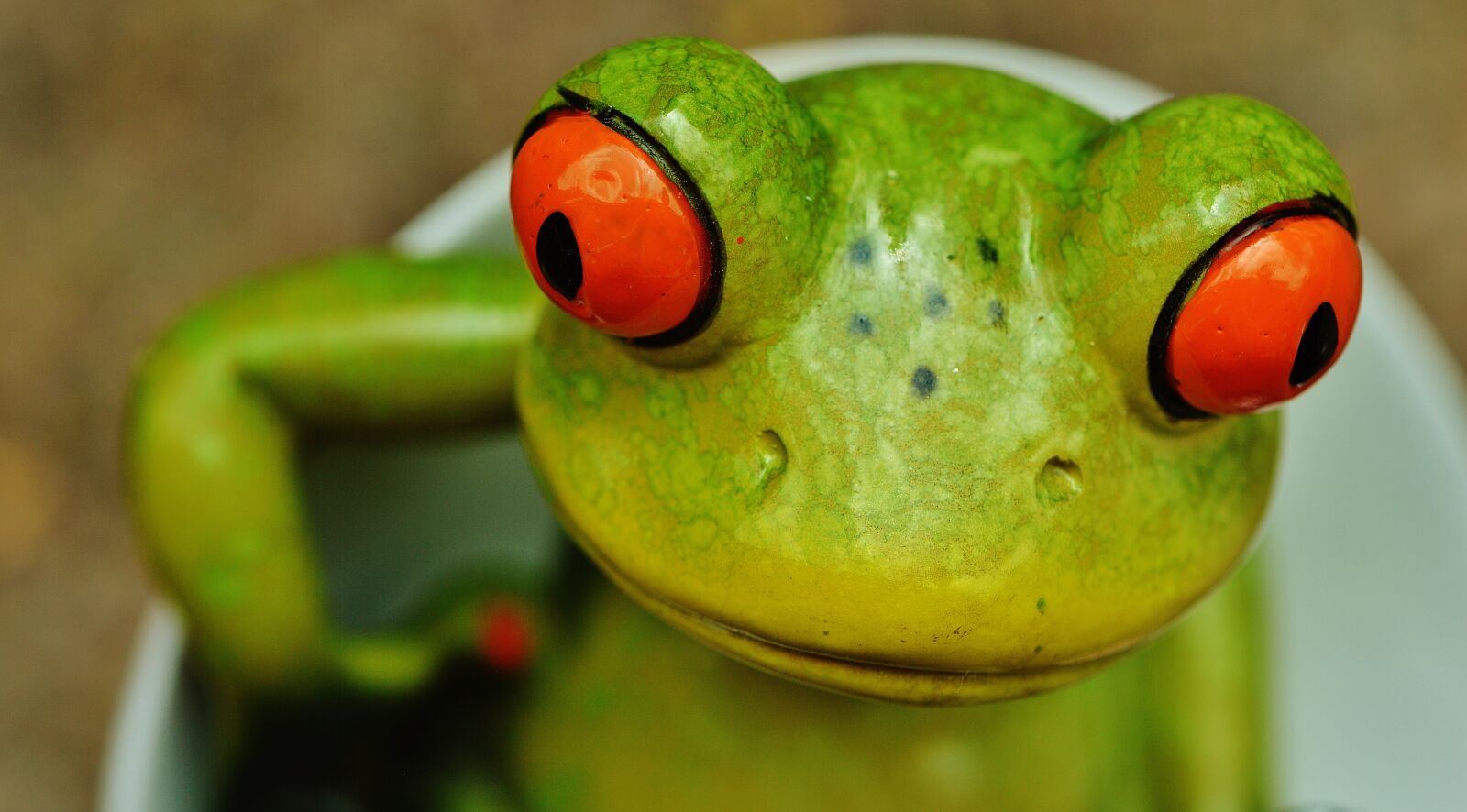 Nikon D3200 sample photo. Frog, funny closeup, eyes photography