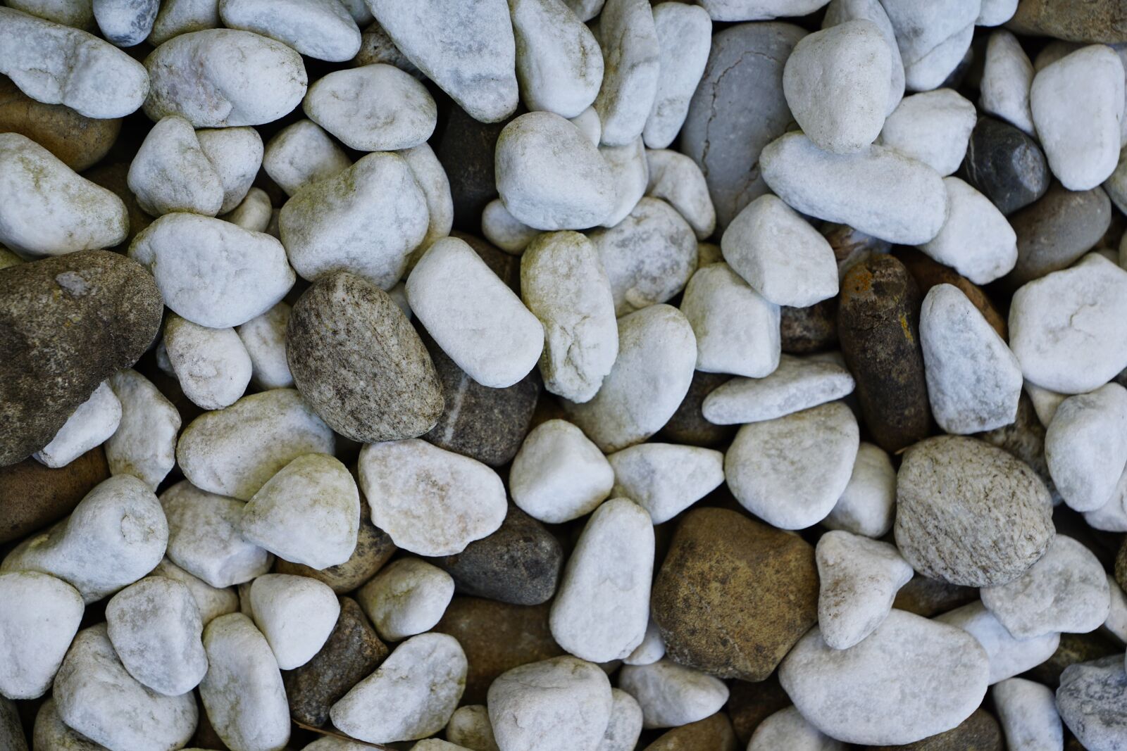 Sony ILCA-77M2 sample photo. Stones, white, grey photography