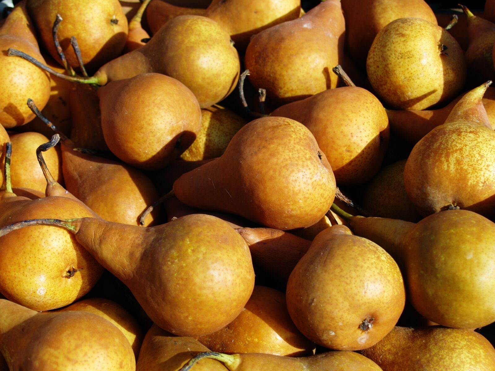 Olympus E-330 (EVOLT E-330) sample photo. Pear, fruit, organic photography
