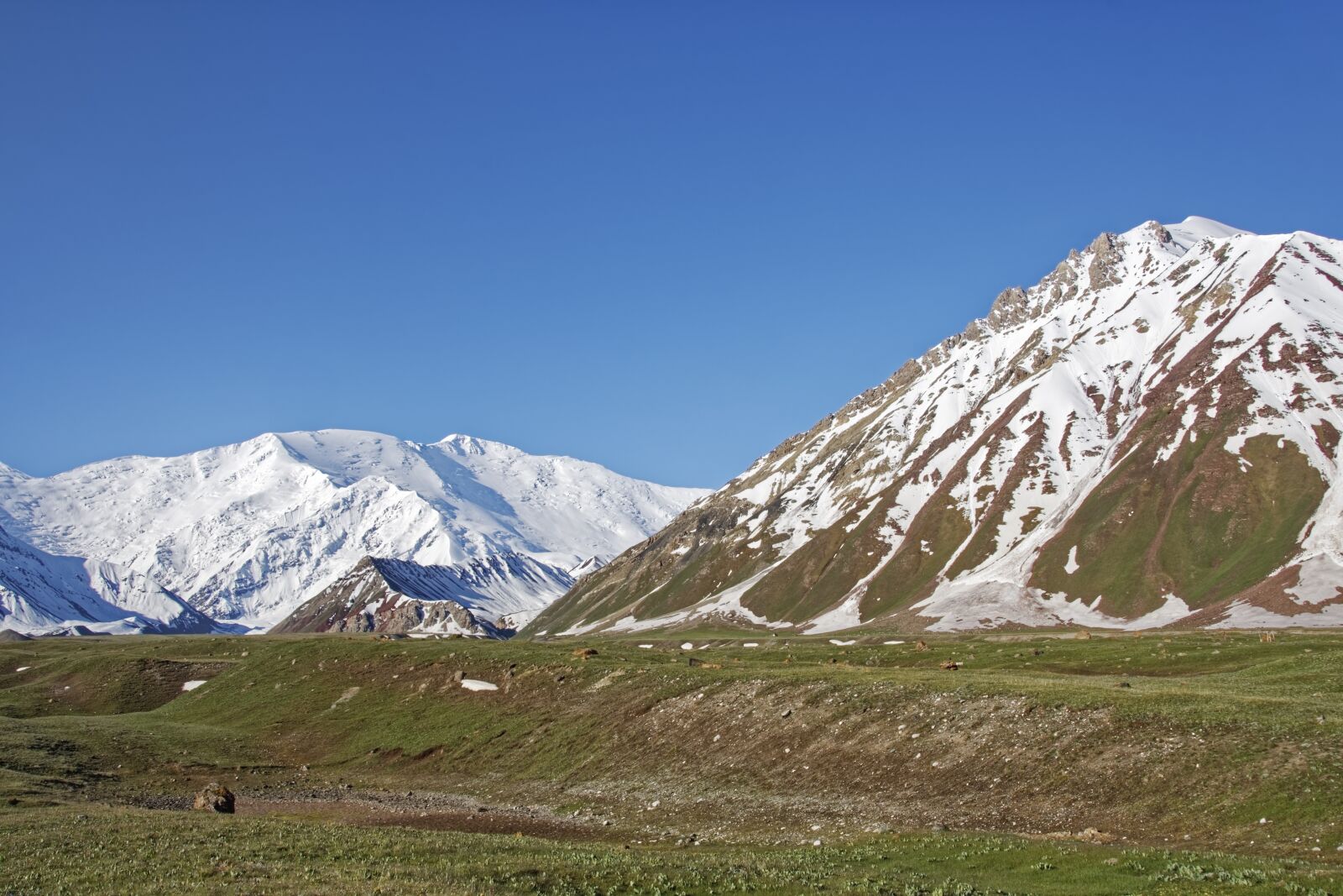 Nikon D500 sample photo. Kyrgyzstan, mountains, landscape photography