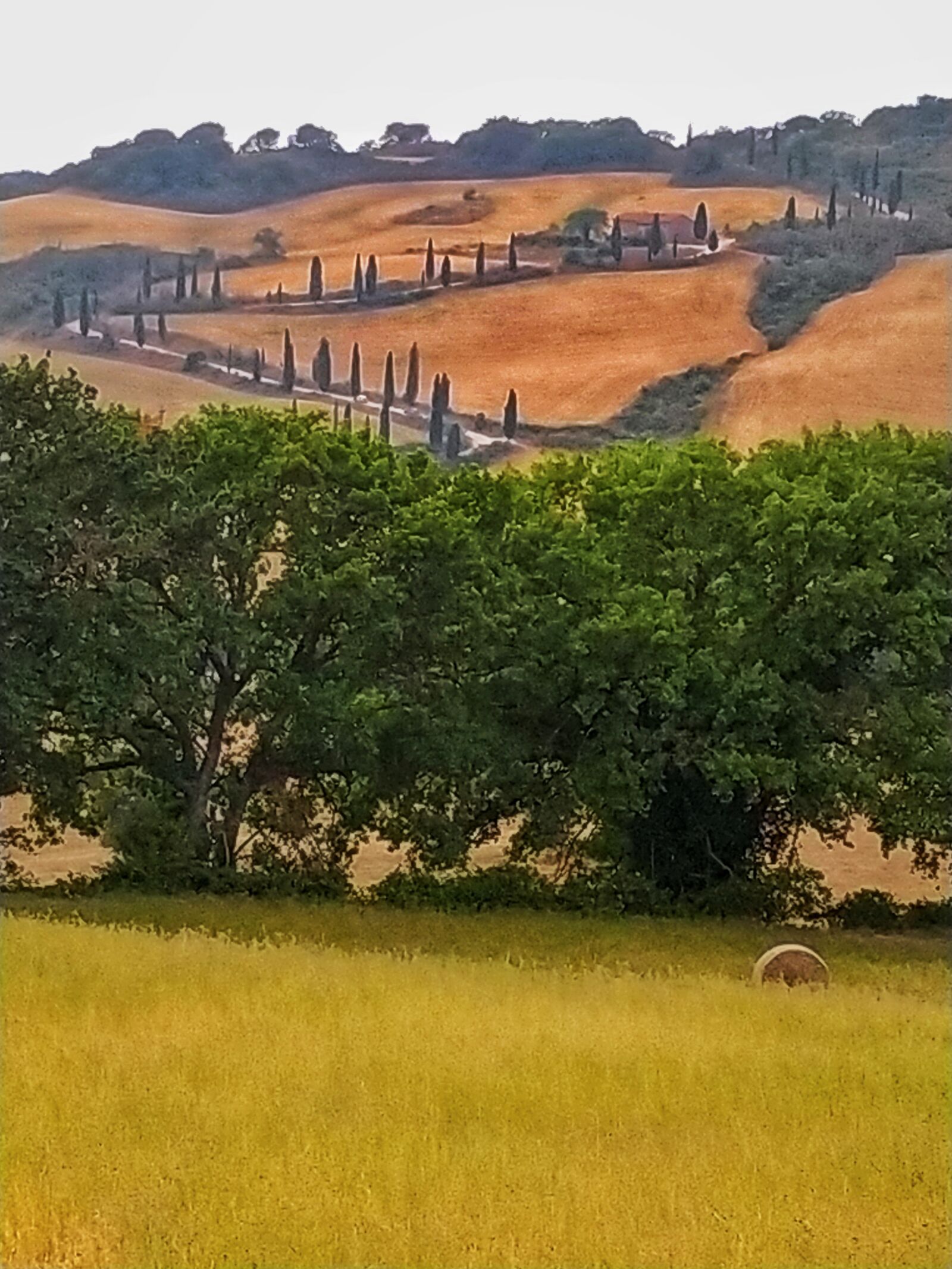 Xiaomi Redmi Note 8T sample photo. Val d'orcia, tuscany, italy photography
